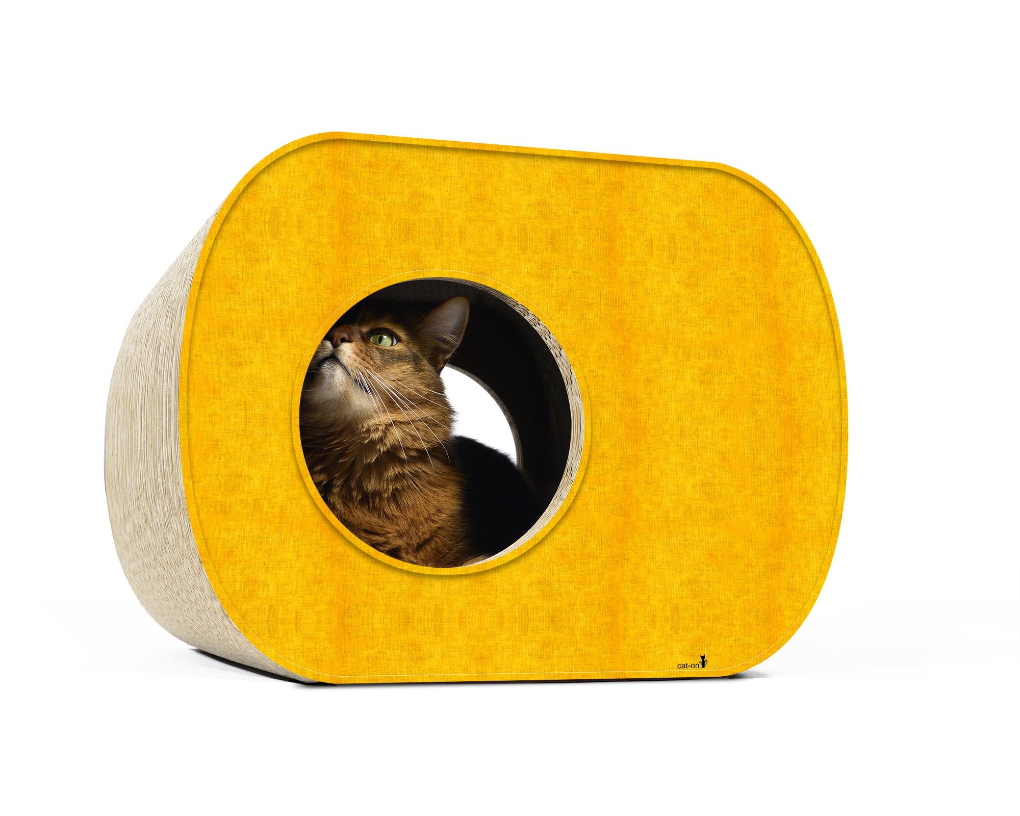 Katze genießt Geborgenheit im cat-on Brochhaus – großes Katzenhaus und multifunktionales Katzenmöbel, auch als Sitzgelegenheit nutzbar