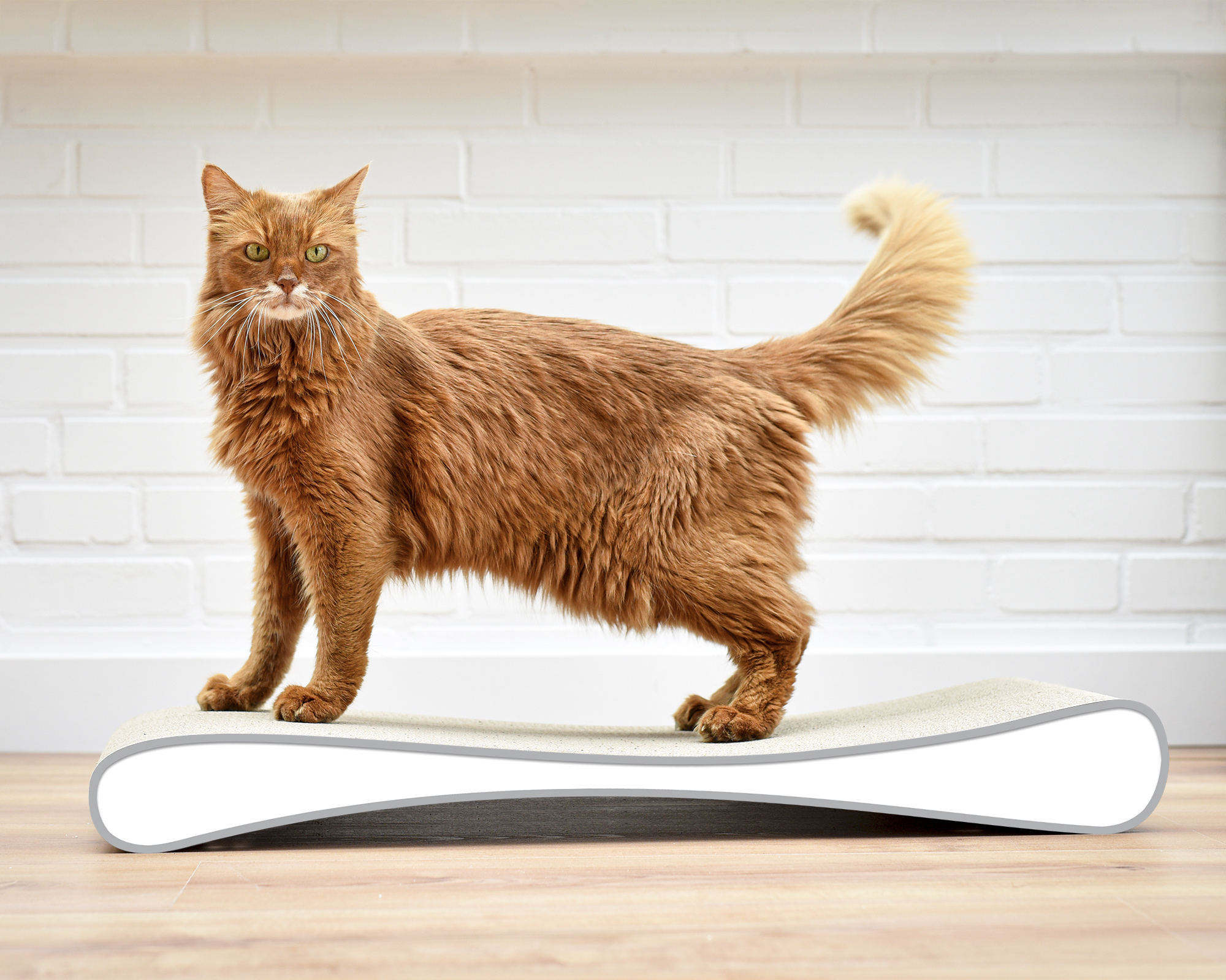 GRATTOIR SLIM LINE design cat scratcher by cat-on, corrugated cardboard furniture with cat on top