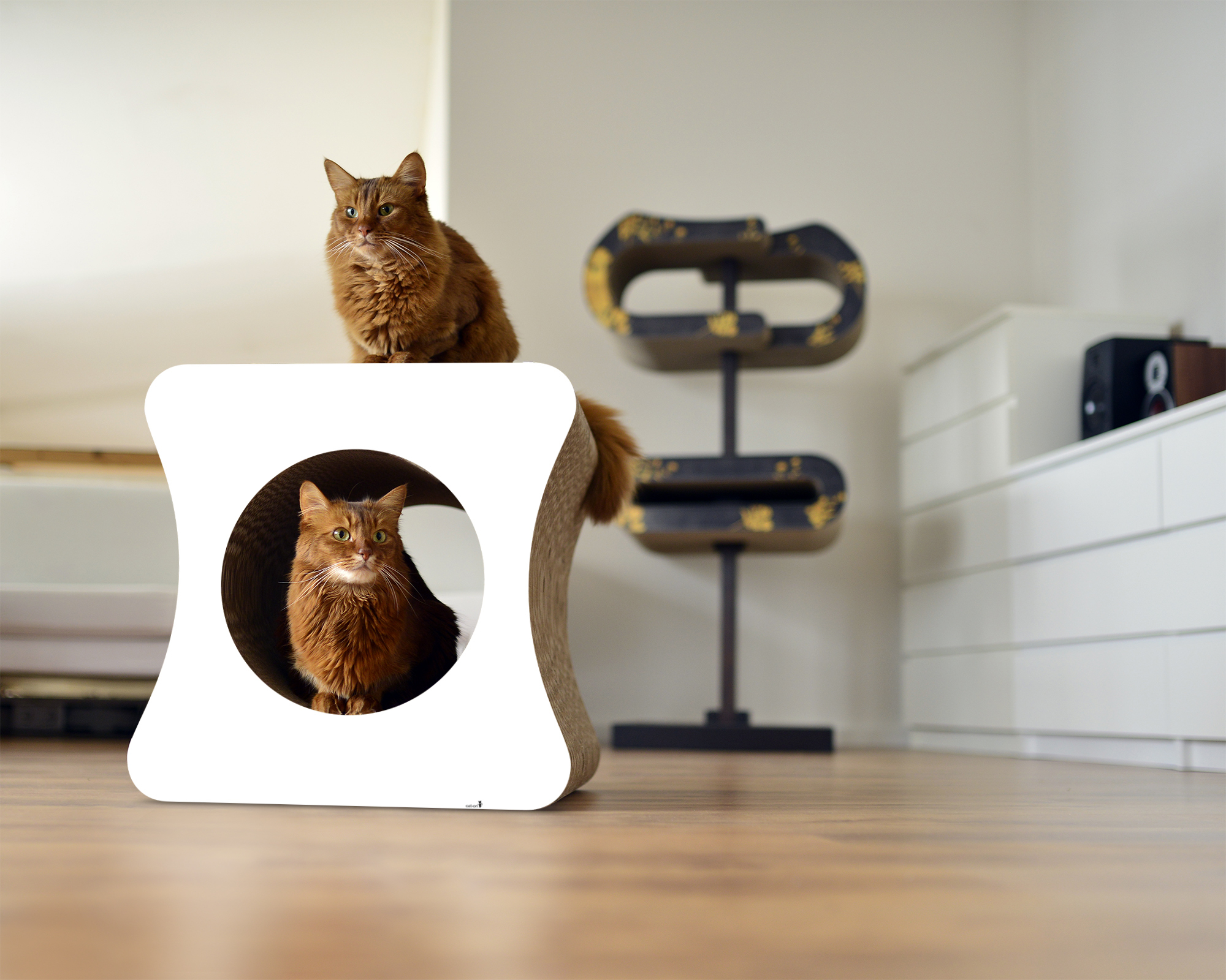 LE CUBE Design Katzenmöbel LE CUBE Design Katzenmöbel
