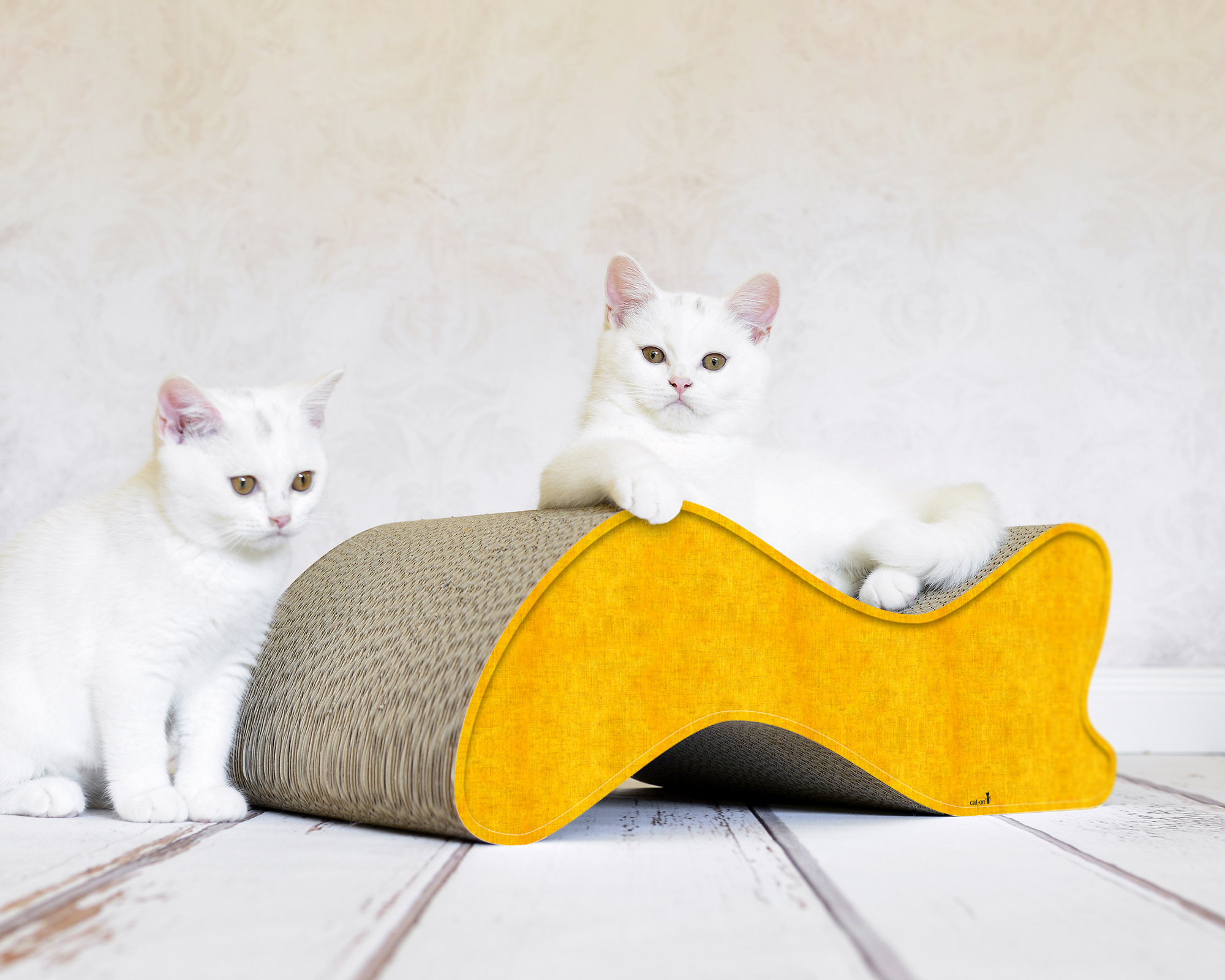 Zwei kleine Katzen auf KABOU – modernes Designer-Kratzmöbel mit Front in Dunkelgelb (004e-dunkelgelb) und naturbelassener Kartonbasis.