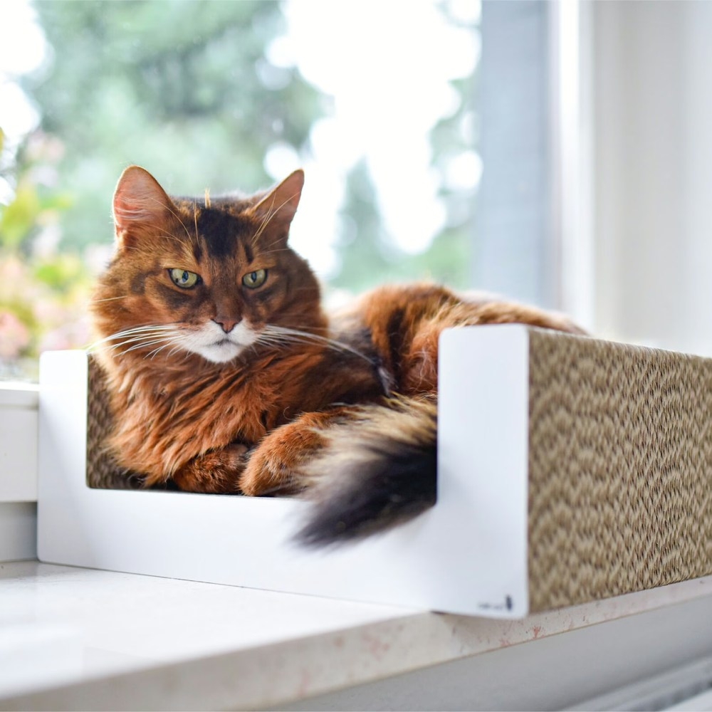 Katze liegt auf einem Kratzbrett für die Ecke – Purrfect Scratch Lounge Design-Kratzmöbel von cat-on