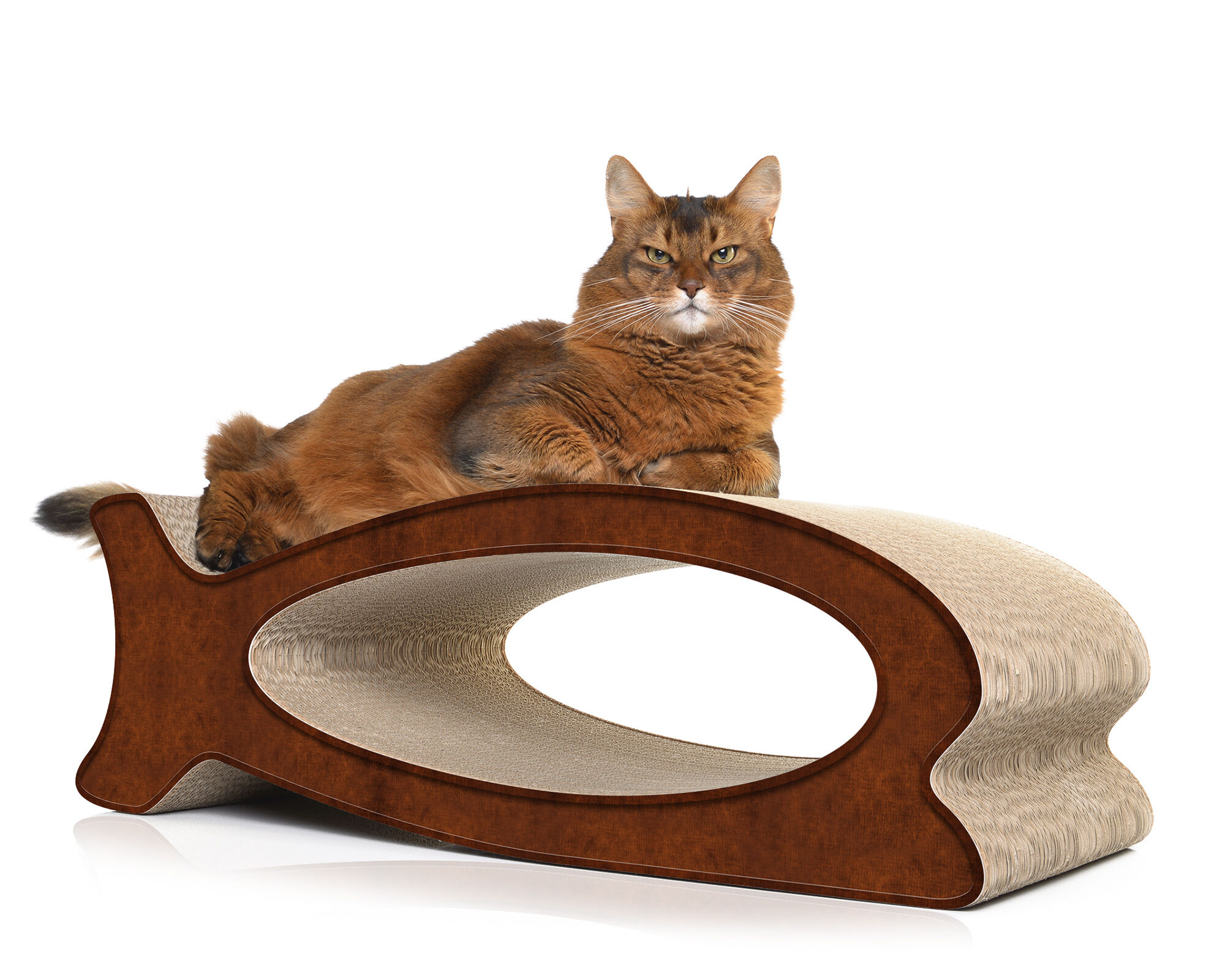 A cat playing and scratching on LE FISH – stylish fish-shaped cardboard cat scratcher