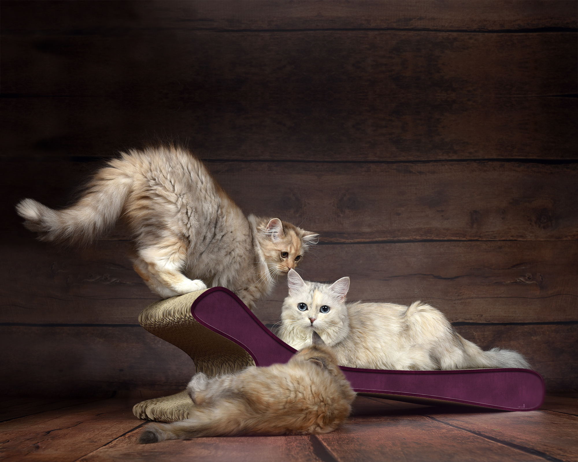 Modell FELINE XL in Violett – robustes und modernes Kratzmöbel aus Wellpappe, hergestellt in Berlin