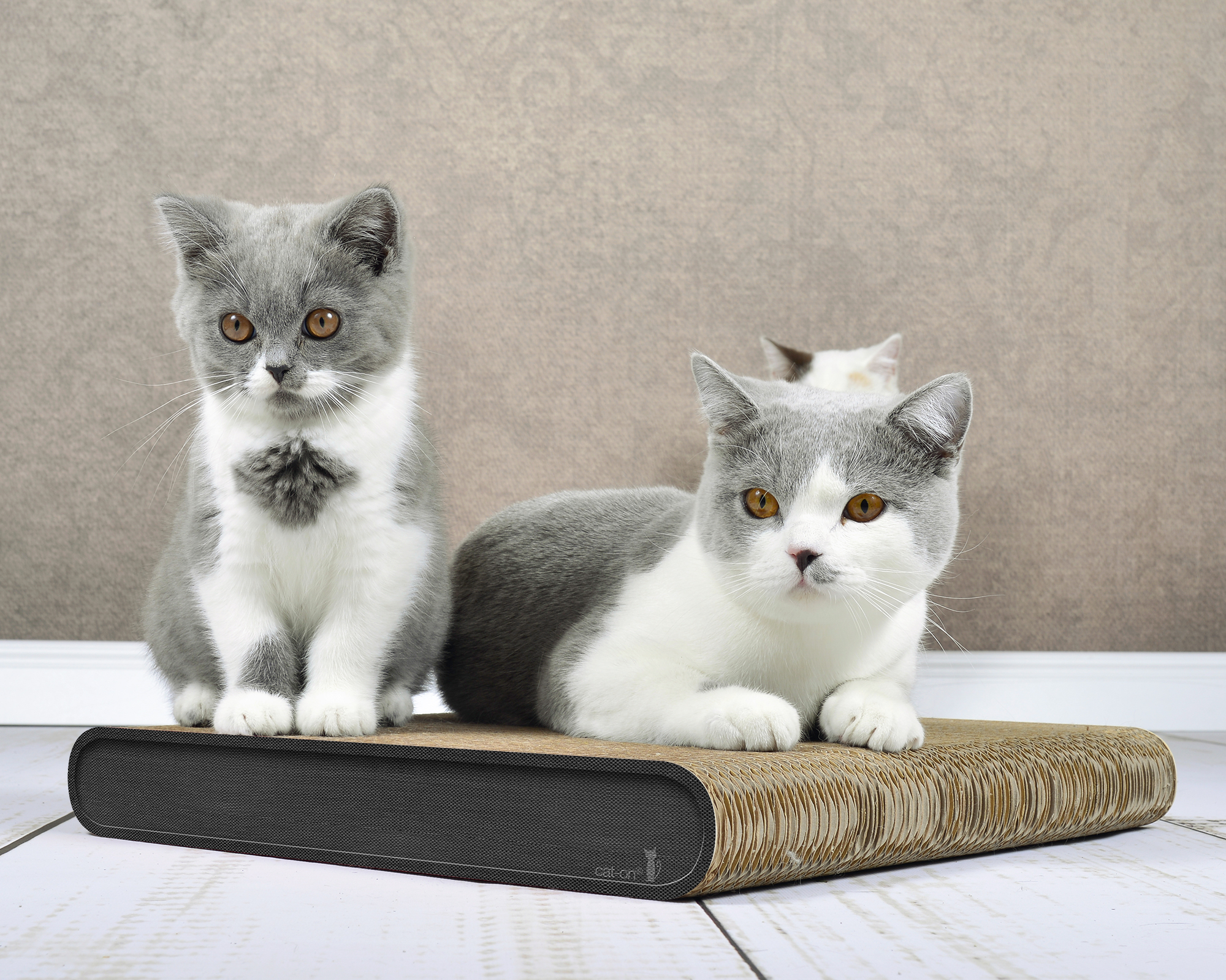 Kratzbrett La Planche (013H) in Anthrazit – modernes Kratzmöbel aus starker Wellpappe.