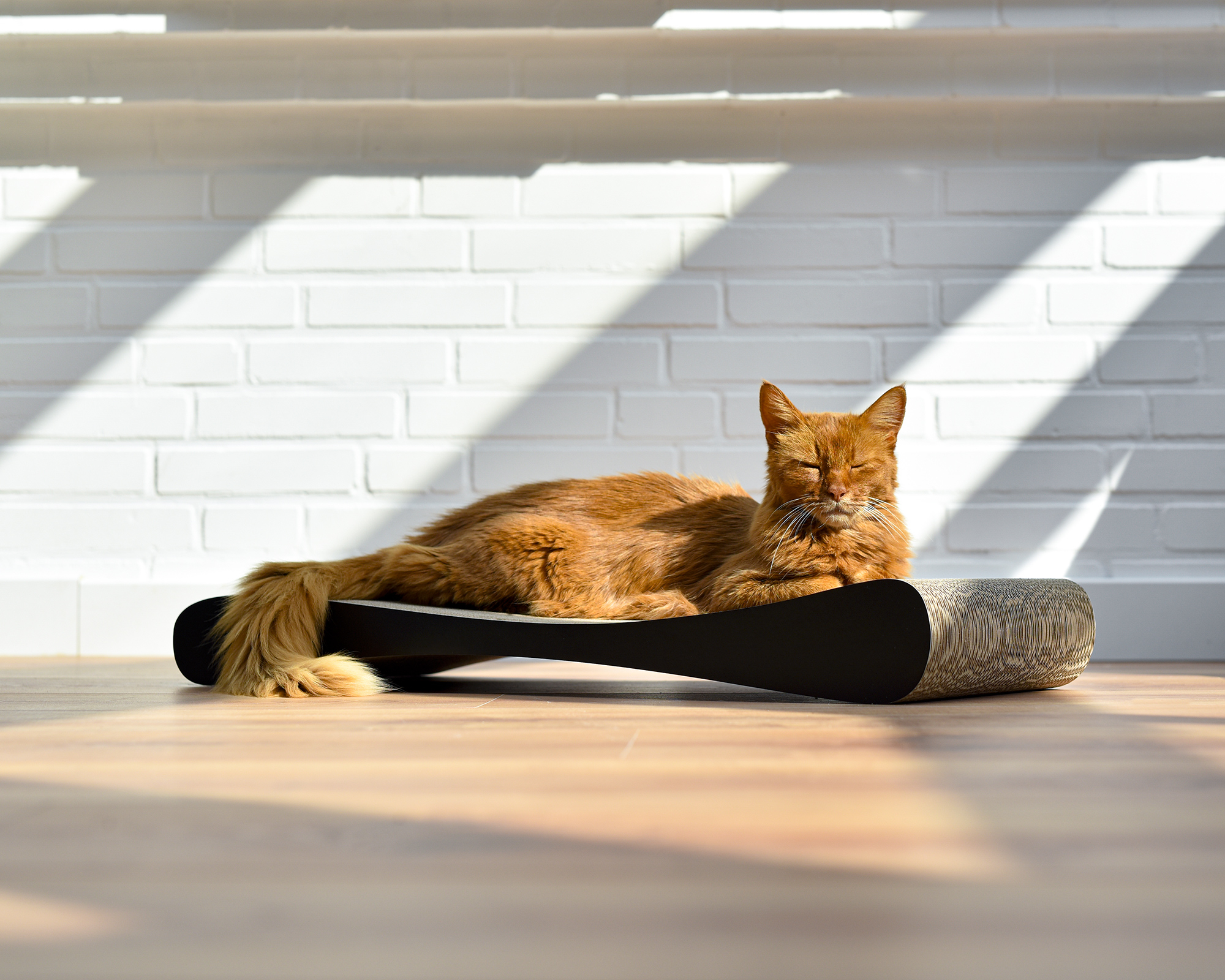 GRATTOIR SLIM LINE – modernes Kratzbrett aus Kratzpappe für Katzen von cat-on Designer Kratzwelle & Schlafplatz für Katzen aus Wellpappe