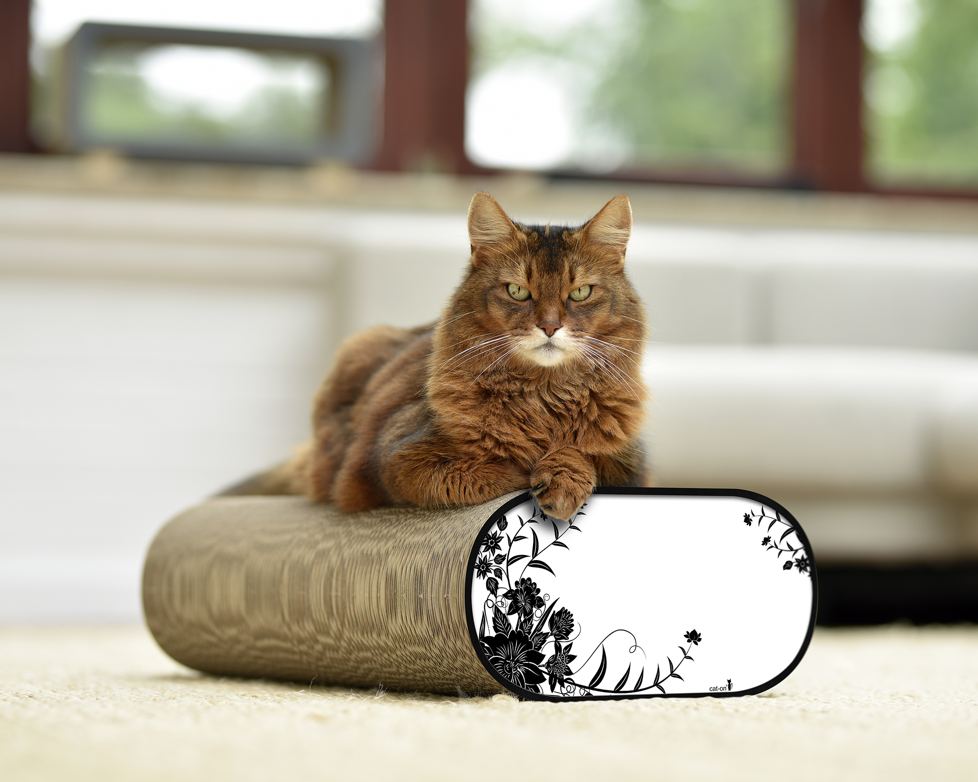 Kratzbrett LA BANQUETTE (000C) – schwarz-weißes Blumen-Design, stabile Kratzpappe.