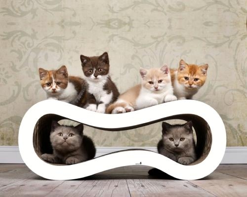 Icône mobilier et griffoirs pour chats