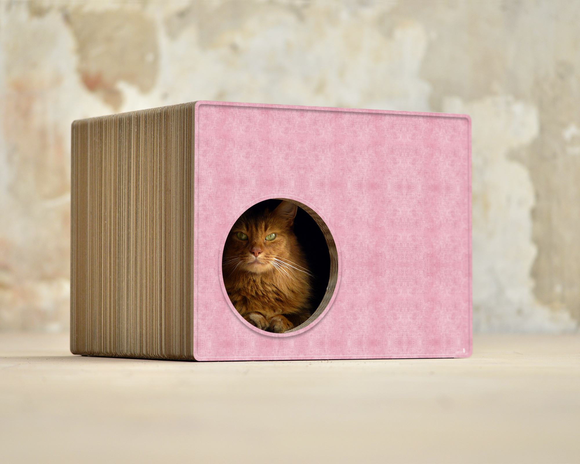 PHREDIA Eckhaus von cat-on, Katze im Inneren des Design-Kratzmöbels aus Wellpappe