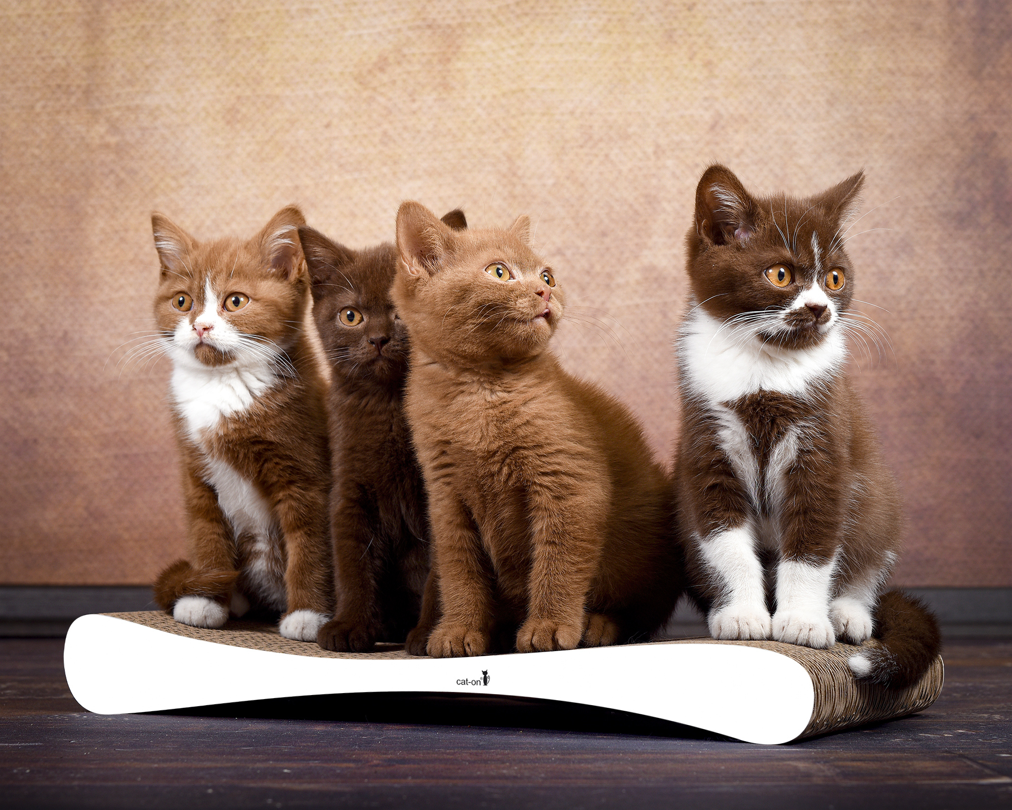 GRATTOIR JUNIOR Kratzbrett  für Katzen GRATTOIR JUNIOR Kratzbrett  für Katzen