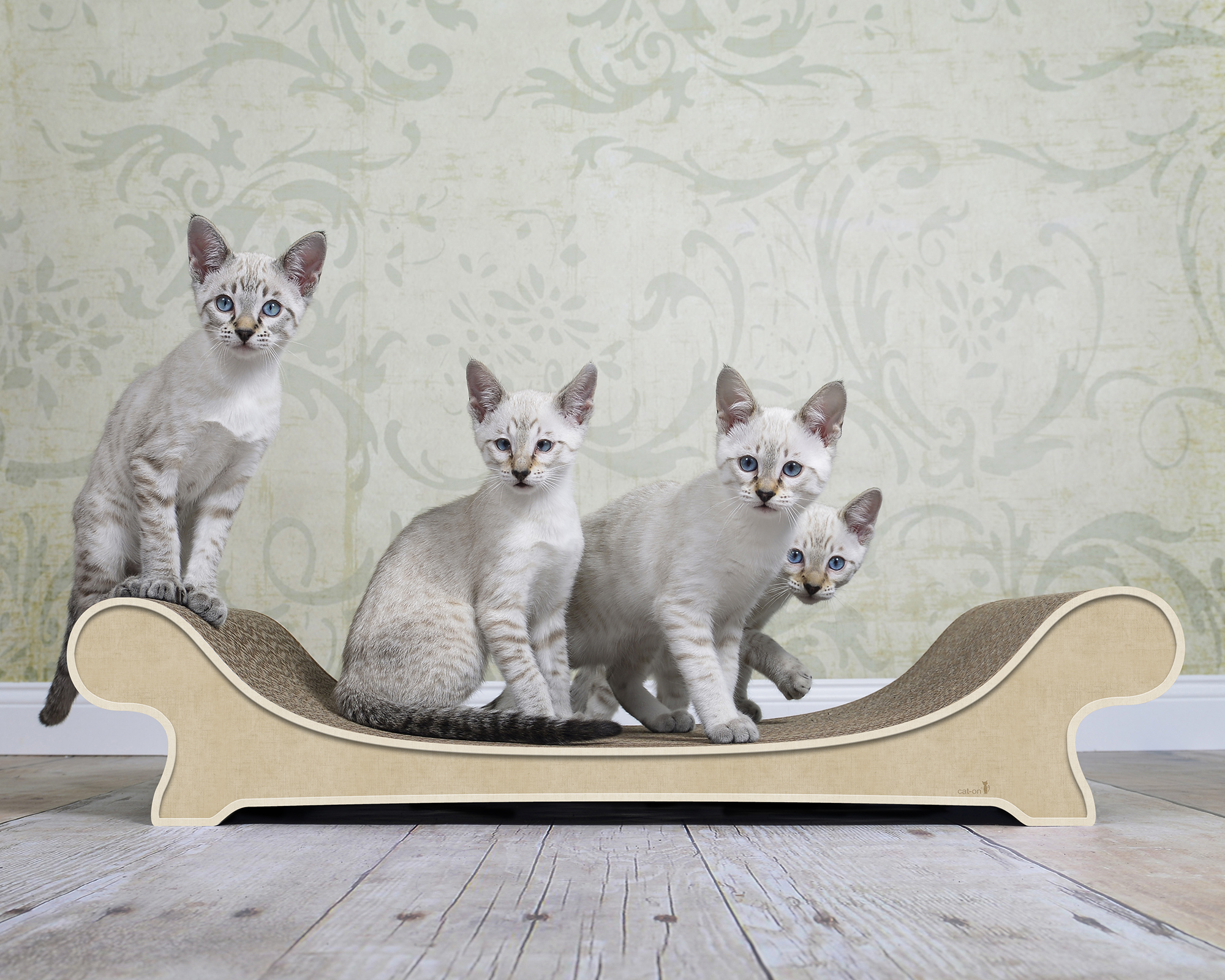 Katze erkundet das LE CANAPÉ PLUS von cat-on in Kratzbaum aus Wellpappe – stilvolles, langlebiges Katzenmöbel.