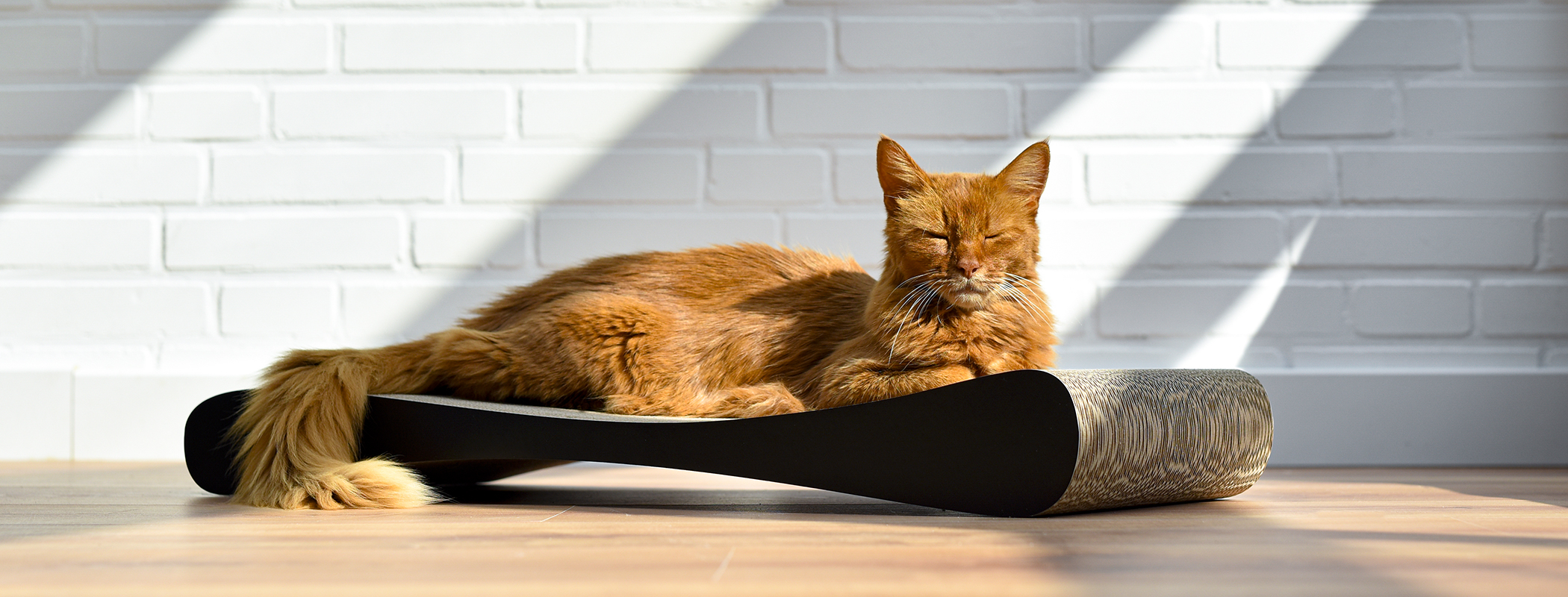 GRATTOIR SLIM LINE griffoir design pour chats, noir chiné (013) GRATTOIR SLIM LINE griffoir design pour chats, noir chiné (013)