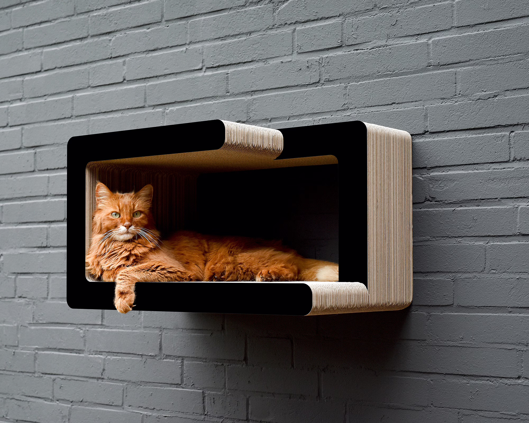 Eine Katze liegt entspannt auf dem KIO TADASHI Wandkratzmöbel im minimalistischen SHIBUI Design – stilvolle Wandliege mit rechter Öffnung.