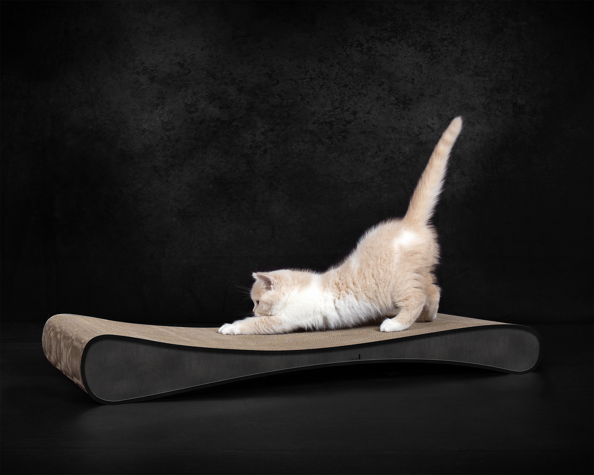 GRATTOIR SLIM LINE – griffoir moderne en carton pour chats de cat-on Planche à griffer design GRATTOIR SLIM LINE en carton ondulé robuste de cat-on