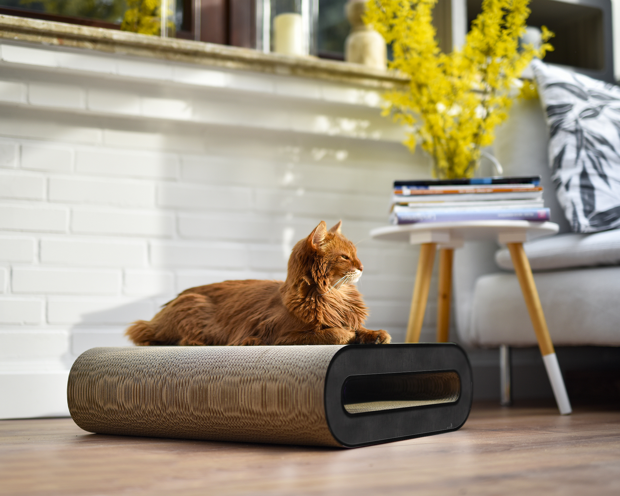 Cat on LE ROULEAU – stylish cardboard scratching board for cats A cat scratching and playing on LE ROULEAU – the modern cardboard scratching board for cats, made of sustainable and durable corrugated cardboard.