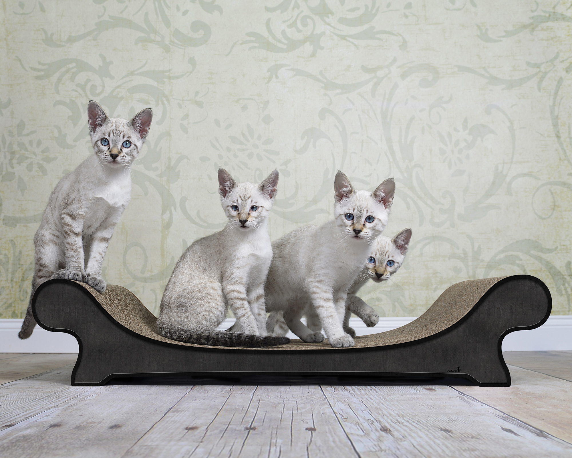 Stilvolles und langlebiges Kratzsofa LE CANAPÉ für Katzen LE CANAPÉ PLUS cat sofa by cat-on, with cat resting on top