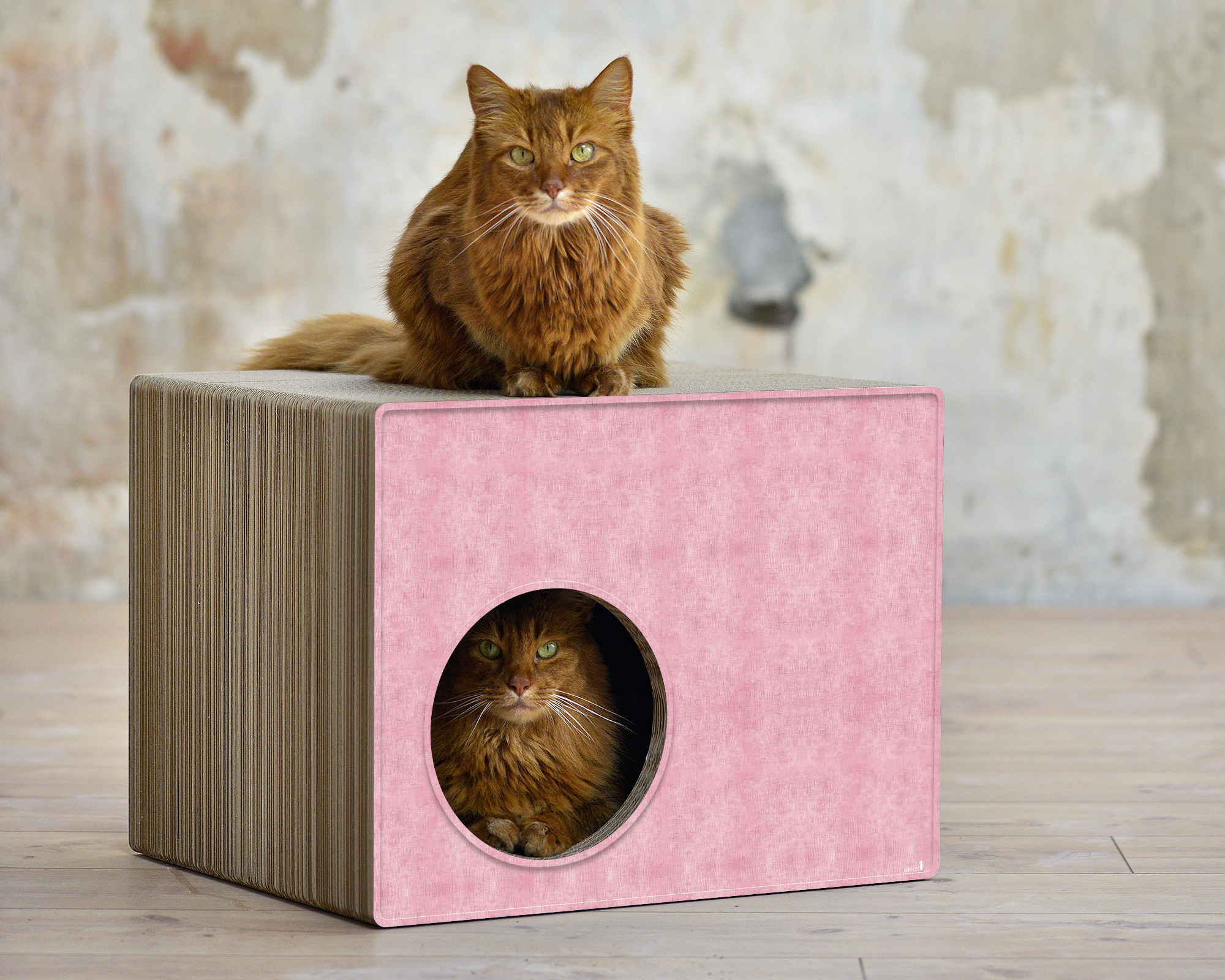 PHREDIA Eckhaus von cat-on, eine Katze oben liegend, eine Katze innen