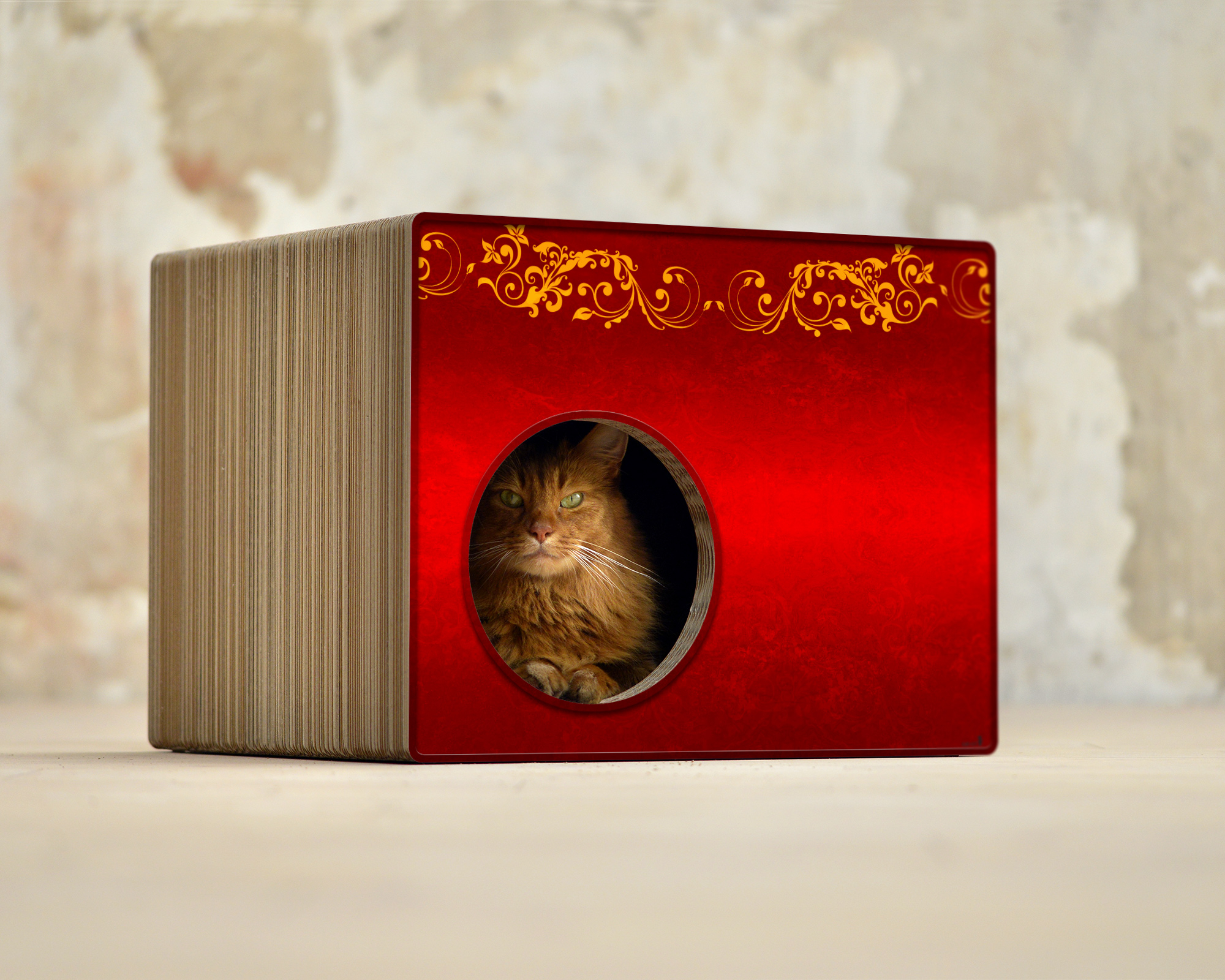 PHREDIA Eckhaus von cat-on, Katze im Inneren des Design-Kratzmöbels aus Wellpappe