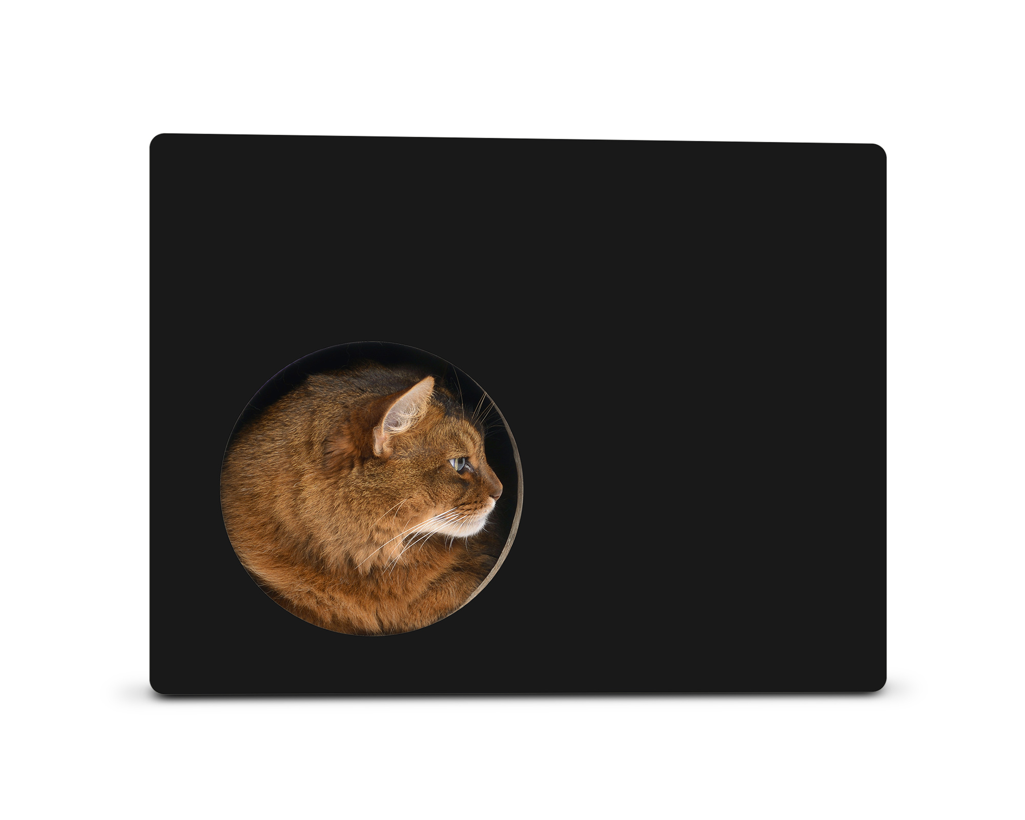 PHREDIA Eckhaus von cat-on, Katze im Inneren des Design-Kratzmöbels aus Wellpappe