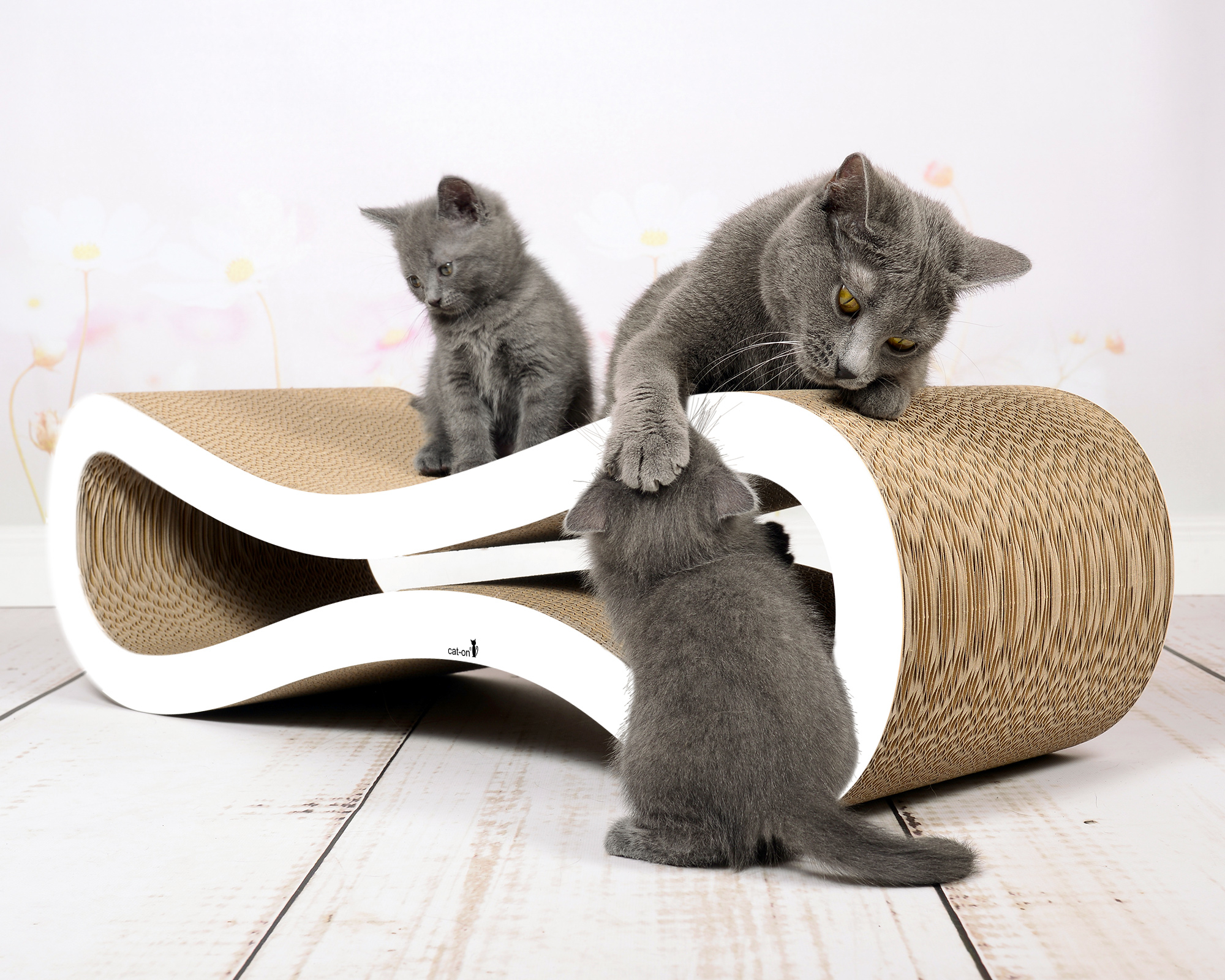 CAT RACER L - large designer cat scratcher made from ultra-resistant cardboard A British Shorthair cat plays with two kittens on the curved Cat Racer scratching post made of scratching cardboard.