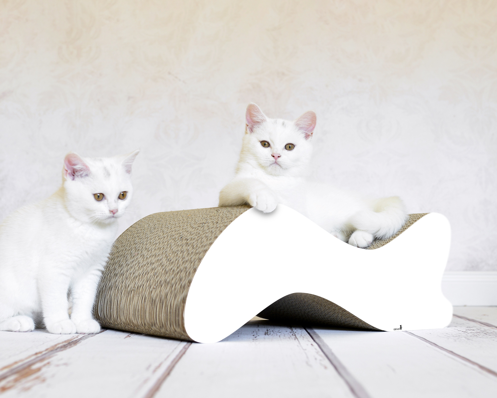 Zwei kleine Katzen auf KABOU – elegantes Design-Kratzmöbel in Wellenform aus Kratzpappe