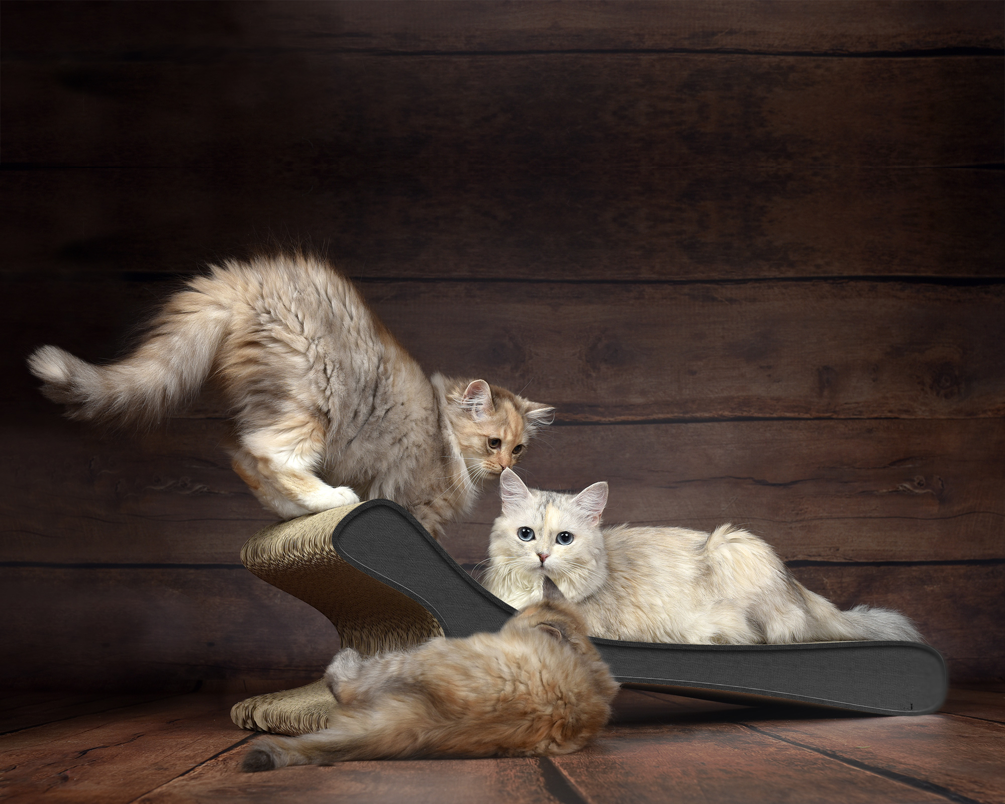 Das FELINE XL Katzensofa in Unbekannt – hochwertiges Katzenmöbel und Liegefläche aus Kratzpappe, handgefertigt in Deutschland