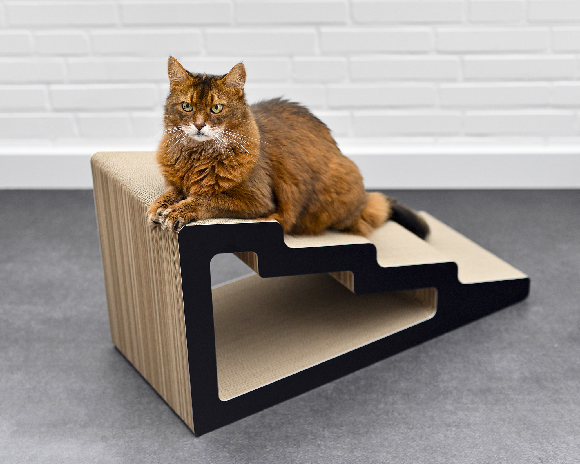 Katze liegt entspannt auf stabilem Kratzboard aus Wellpappe Coole Katze liegt auf sytlischer kratztreppe aus Kaidan Kratzpappe