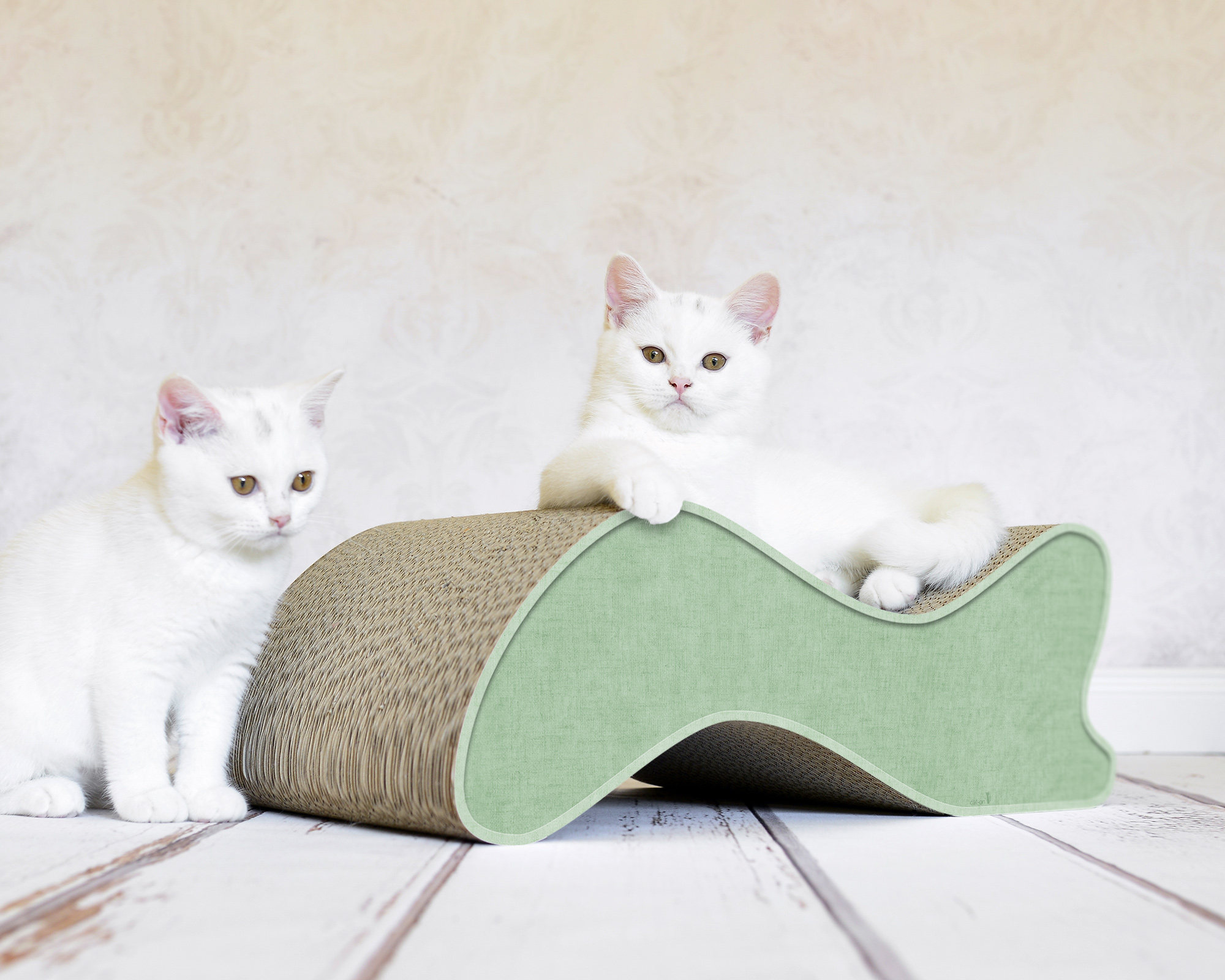 Zwei kleine Katzen auf KABOU – stylisches Kratzmöbel mit Front in Helmlock-Mintgrün (006h-helmlock-mintgruen).