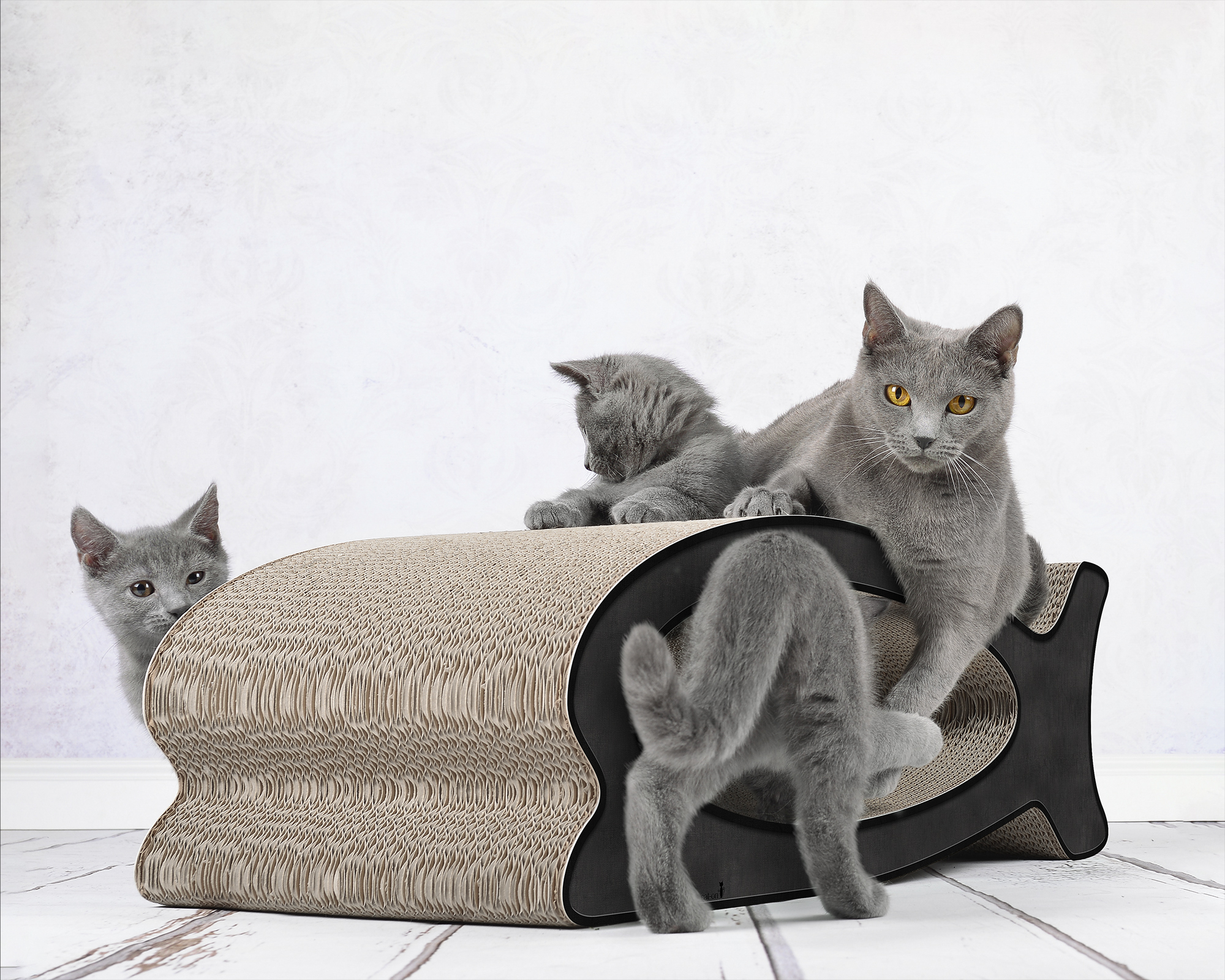 Several cats playing and scratching on LE FISH – stylish fish-shaped cardboard cat scratcher