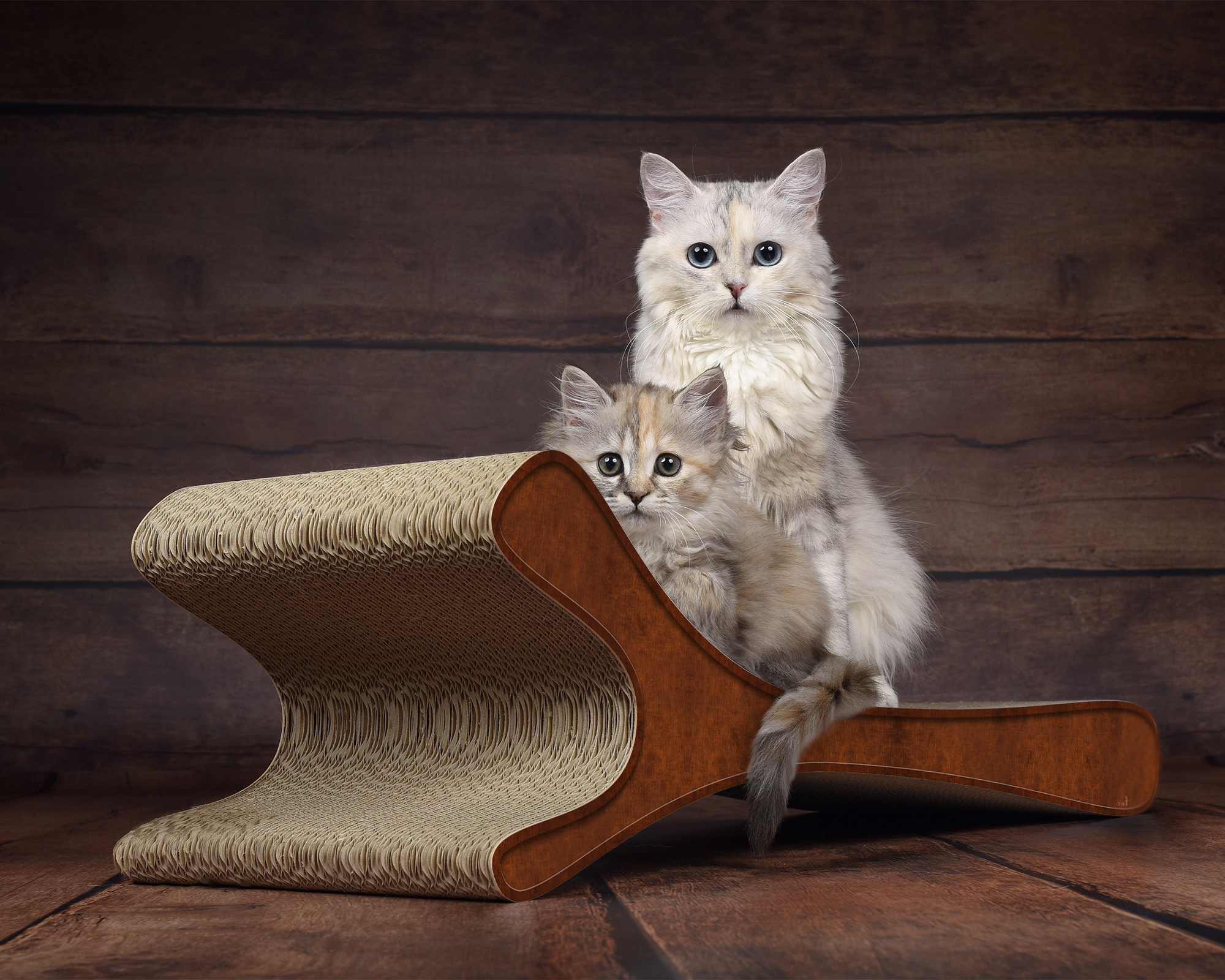Katzenmöbel FELINE XL in Braun – robustes und modernes Kratzmöbel aus Wellpappe, hergestellt in Berlin