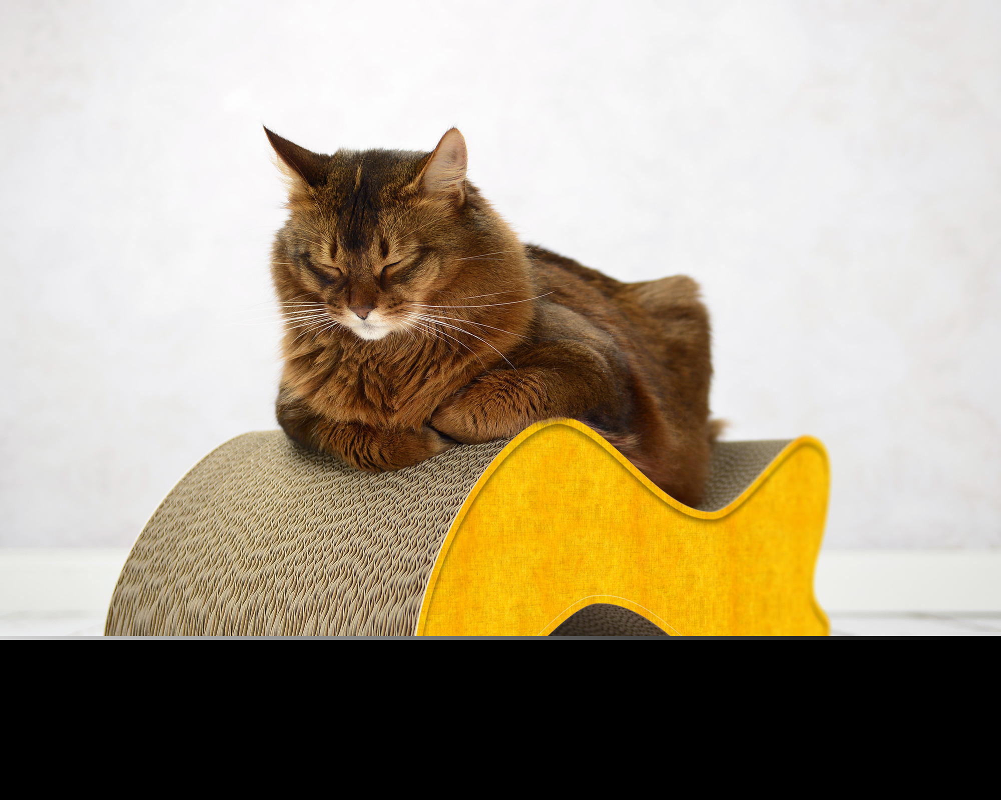 Große Katze auf KABOU – modernes Design-Kratzmöbel in Wellenform für große Katzen