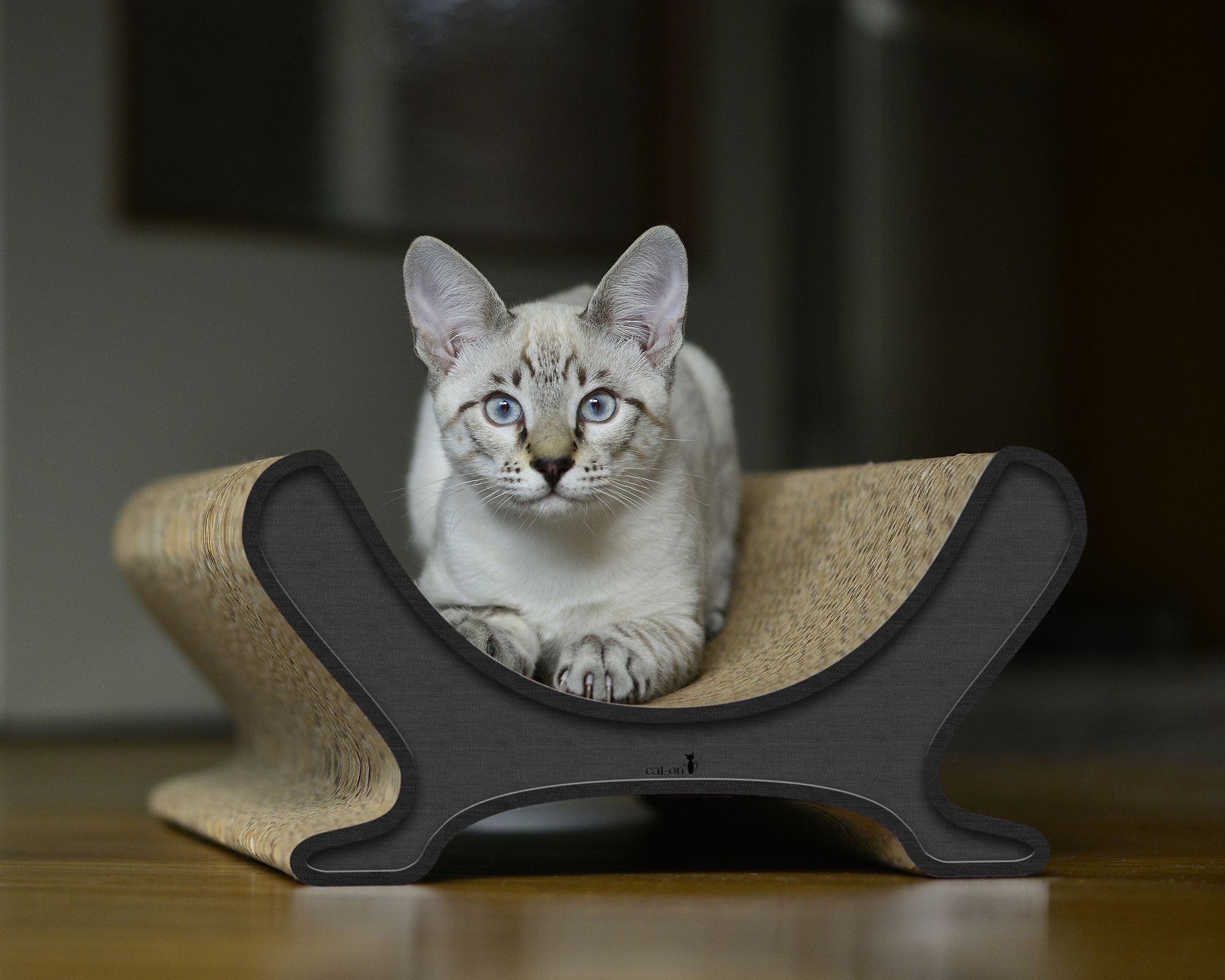 Katze auf LE PANIER Katzenliege – Designer Katzencouch aus Kratzpappe, handgefertigt in Berlin