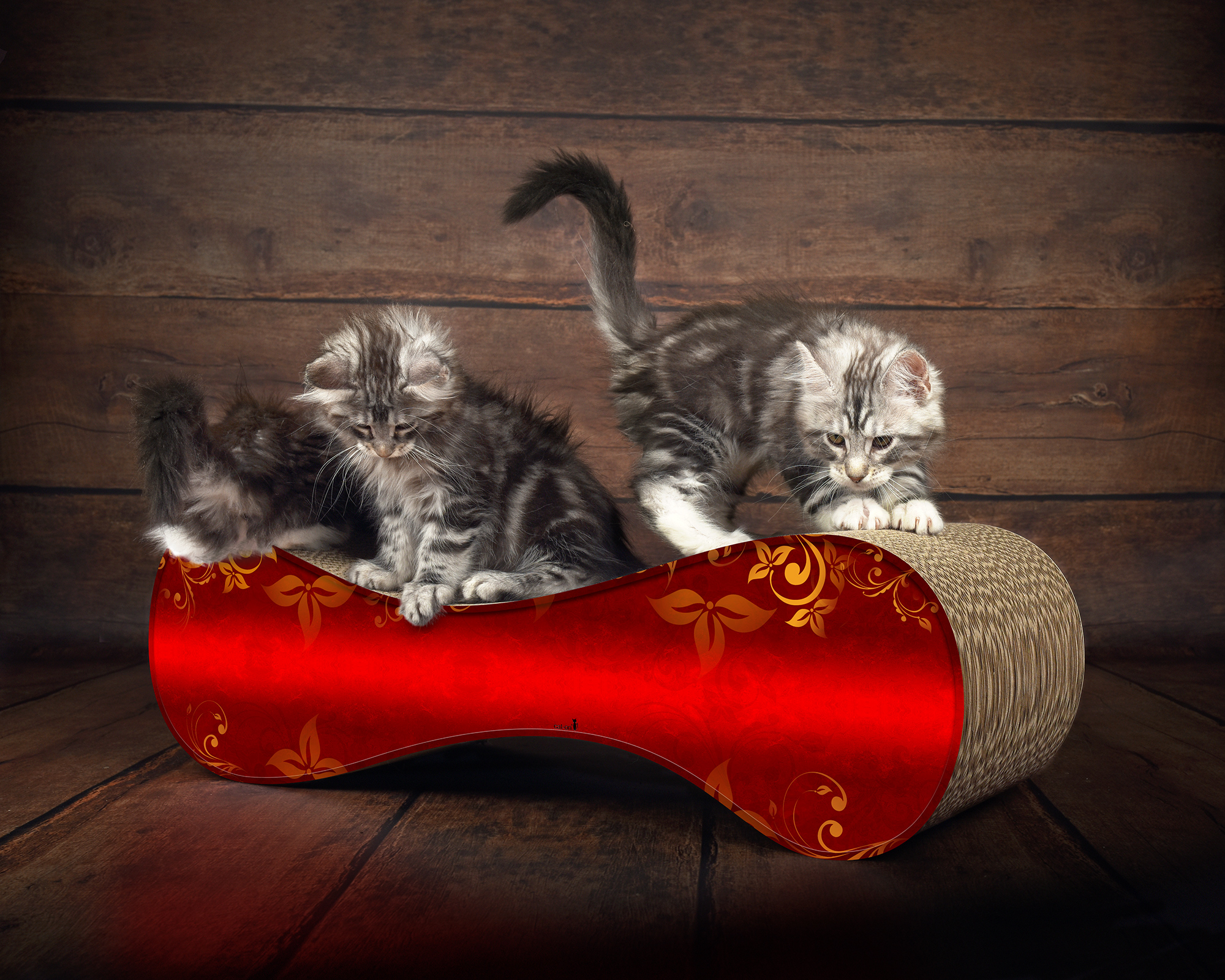 LE VER M Design Kratzmöbel, élégance (030)