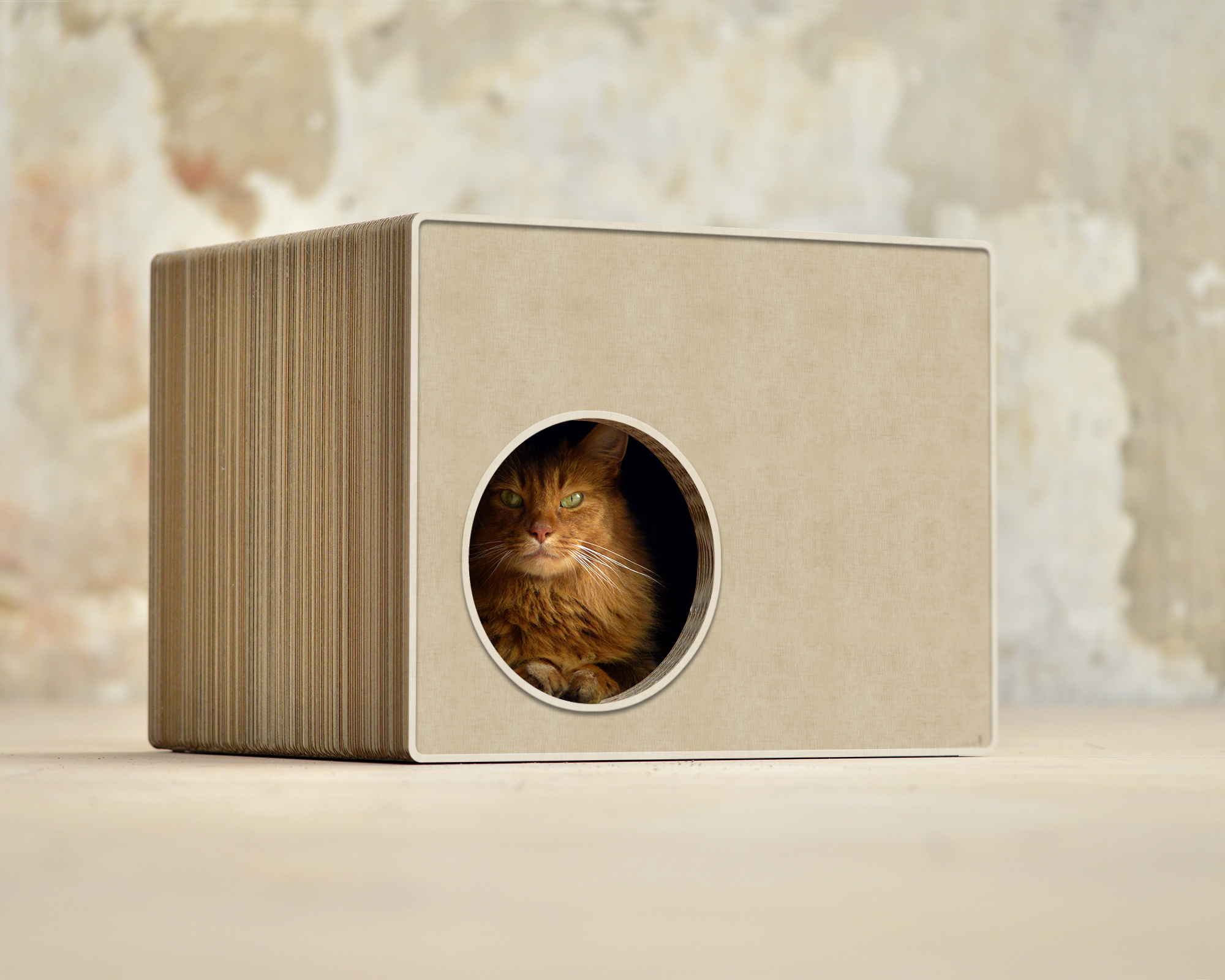 PHREDIA Eckhaus von cat-on, Katze im Inneren des Design-Kratzmöbels aus Wellpappe