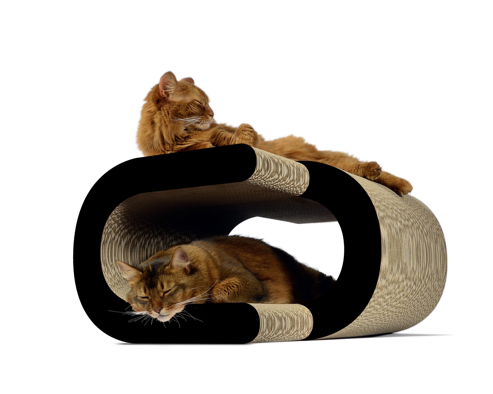 Zwei Katzen auf dem schwarzen LA VAGUE XL Kratzmöbel – modernes, schlichtes Design