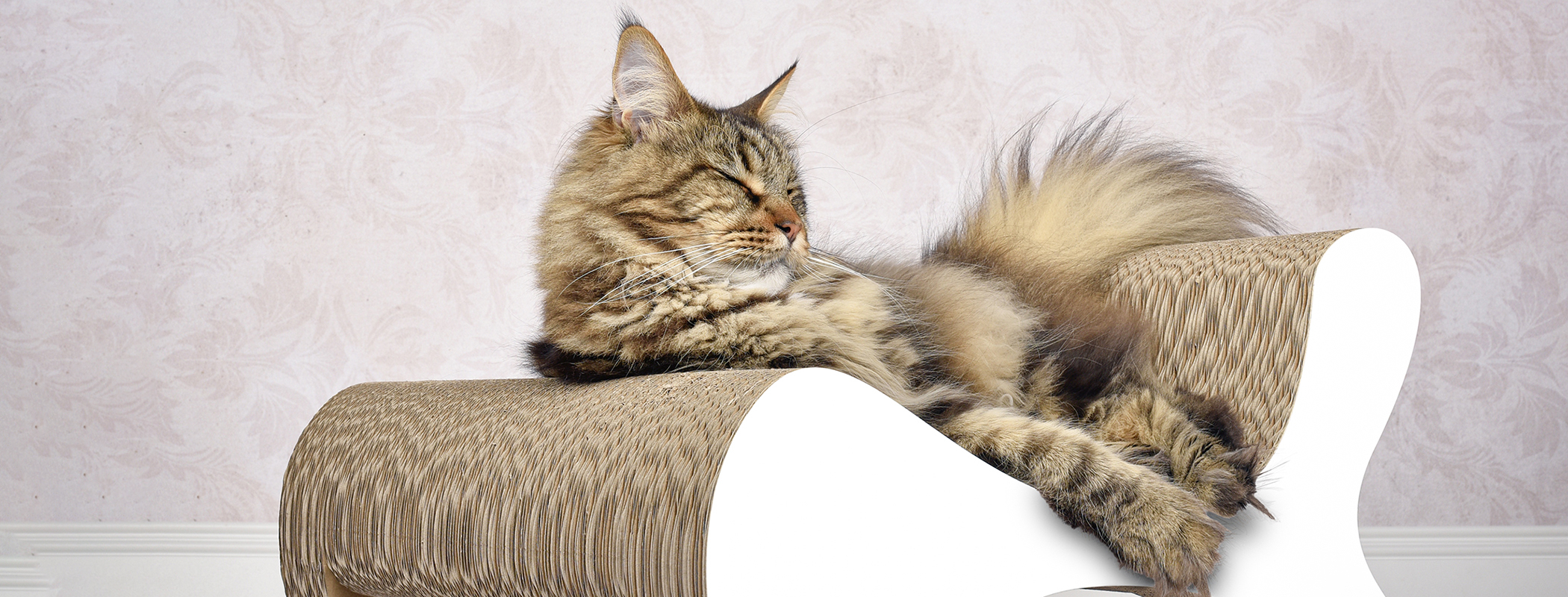 MOLECULAR FAUTEUIL Designer Cat Lounge, black (013) MOLECULAR FAUTEUIL Designer Cat Lounge, black (013)