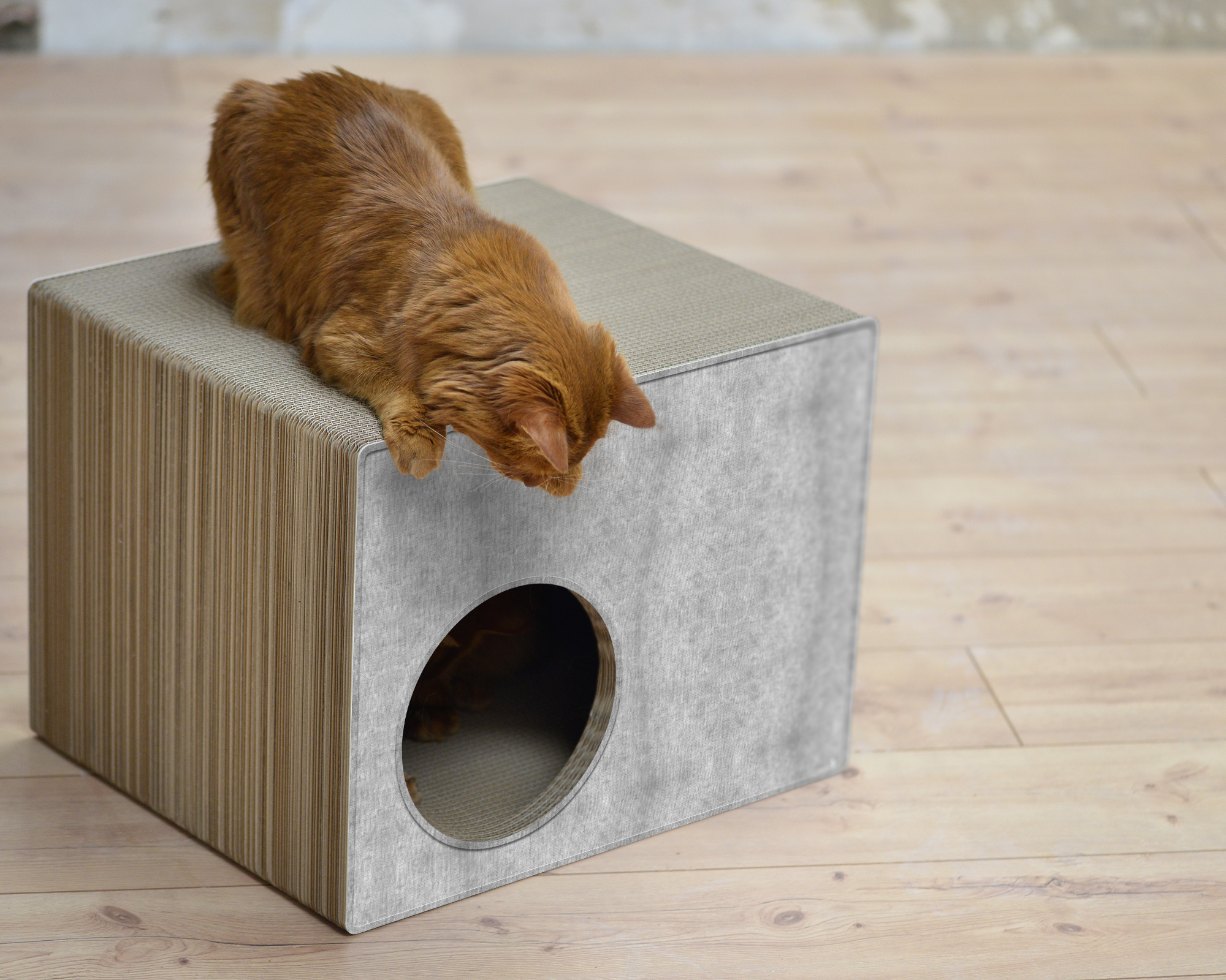 PHREDIA Eckhaus von cat-on, eine Katze oben liegend, eine Katze innen