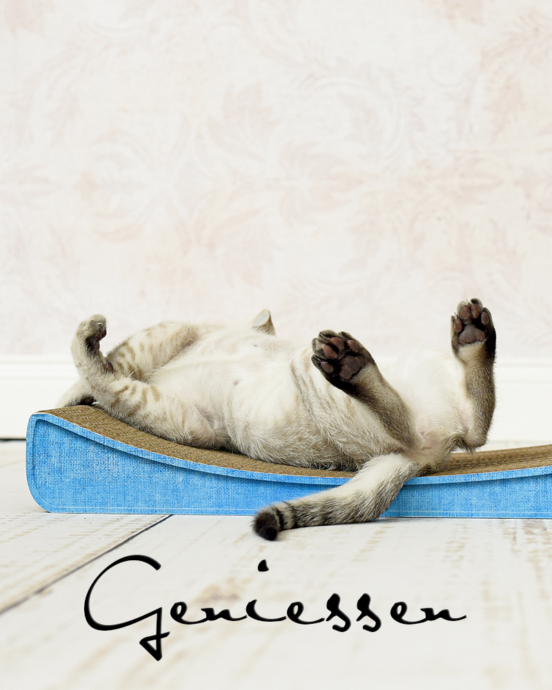 stilvolle-design-katzenmoebel-kratzmoebel-fuer-katzen-aus-kratzkarton stilvolle-design-katzenmoebel-kratzmoebel-fuer-katzen-aus-kratzkarton