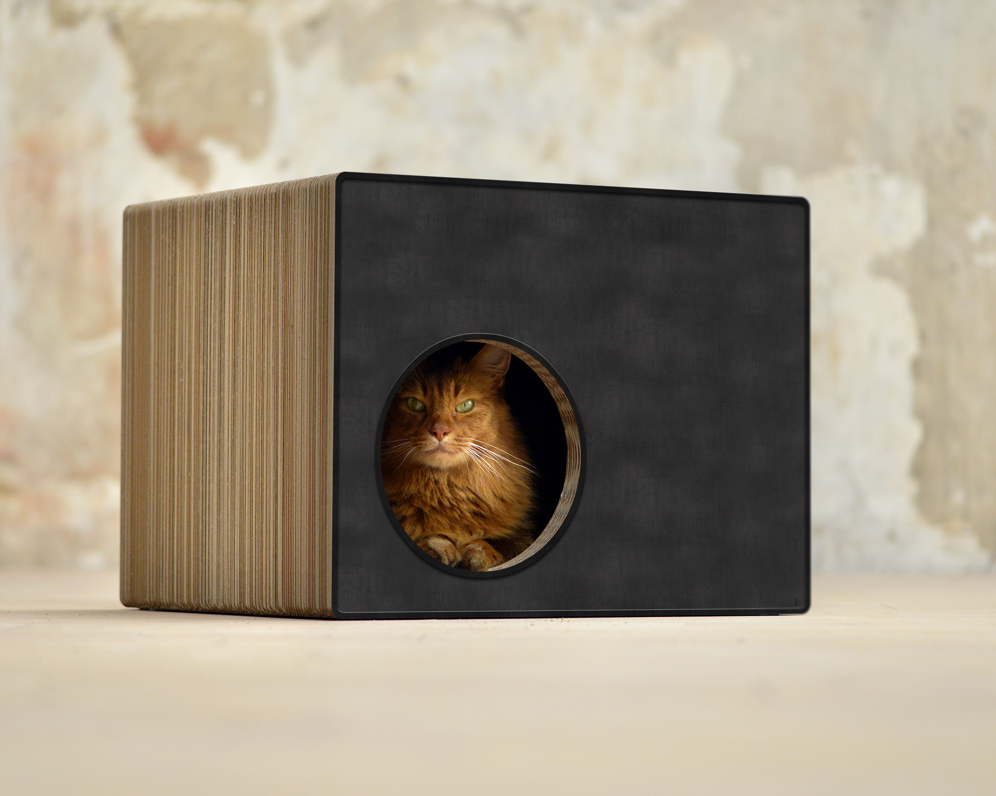 PHREDIA Eckhaus von cat-on, Katze im Inneren des Design-Kratzmöbels aus Wellpappe