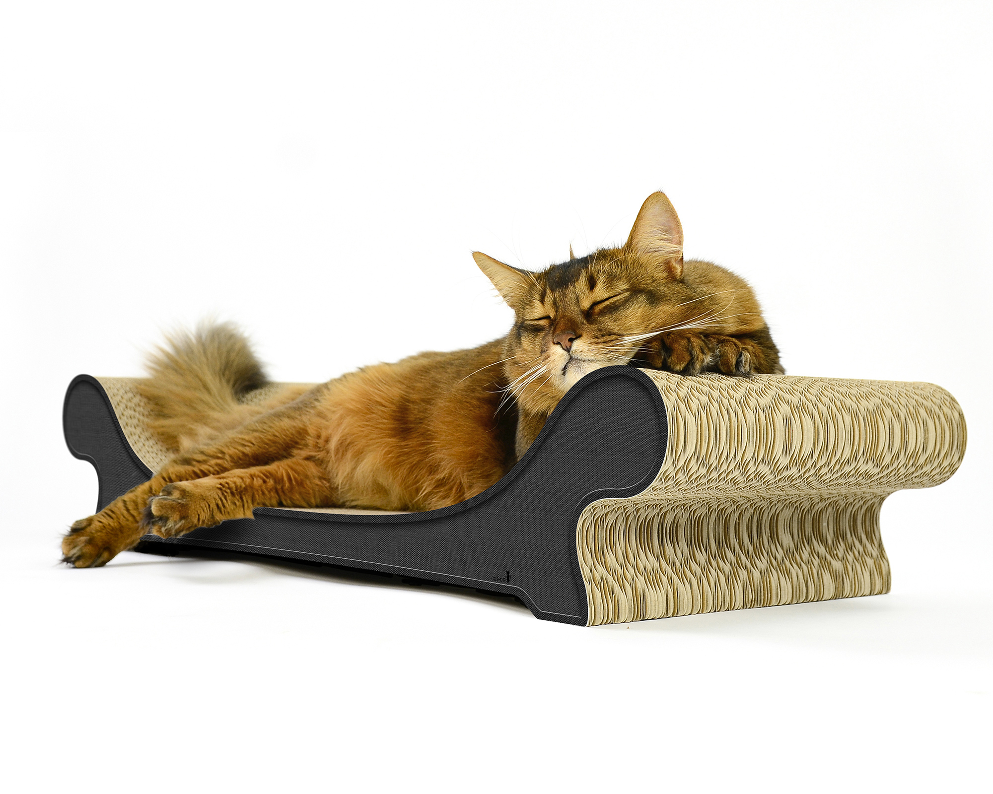 Katze spielt auf dem Katzensofa LE CANAPÉ PLUS von cat-on in Anthrazit Farbenes Kratzmoebel aus Wellpappe – handgefertigtes Katzenmöbel aus Wellpappe.