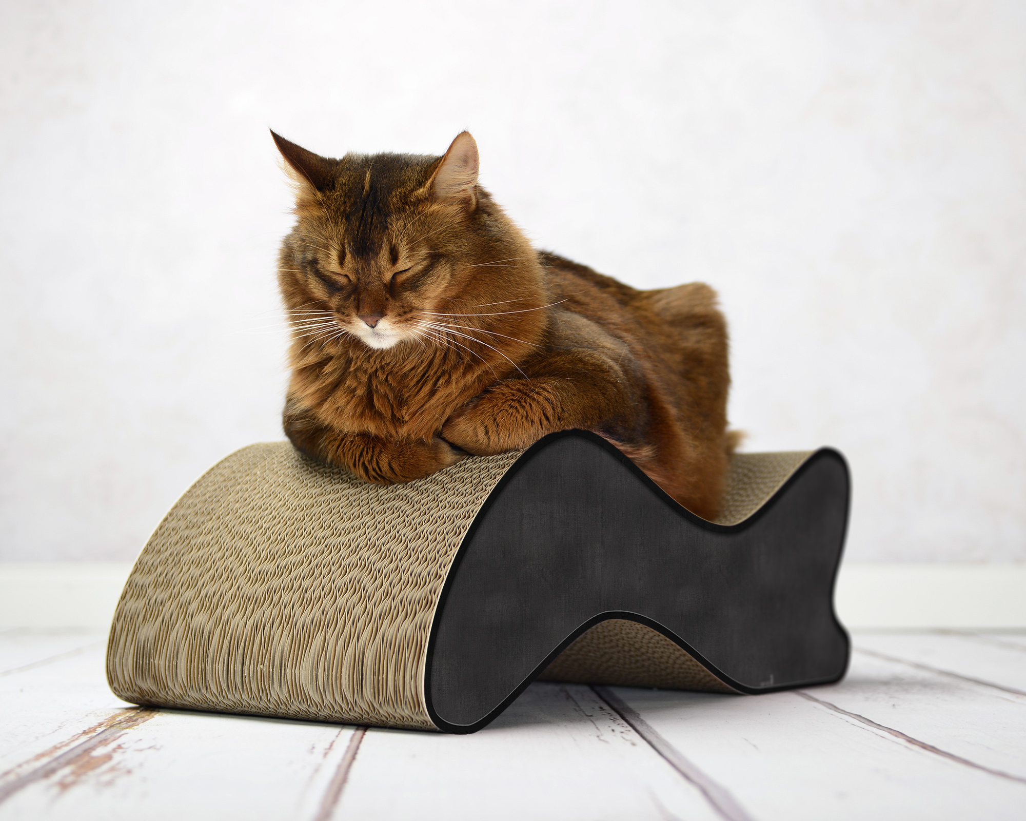Large cat on KABOU – modern wave-shaped design cat scratcher for large cats