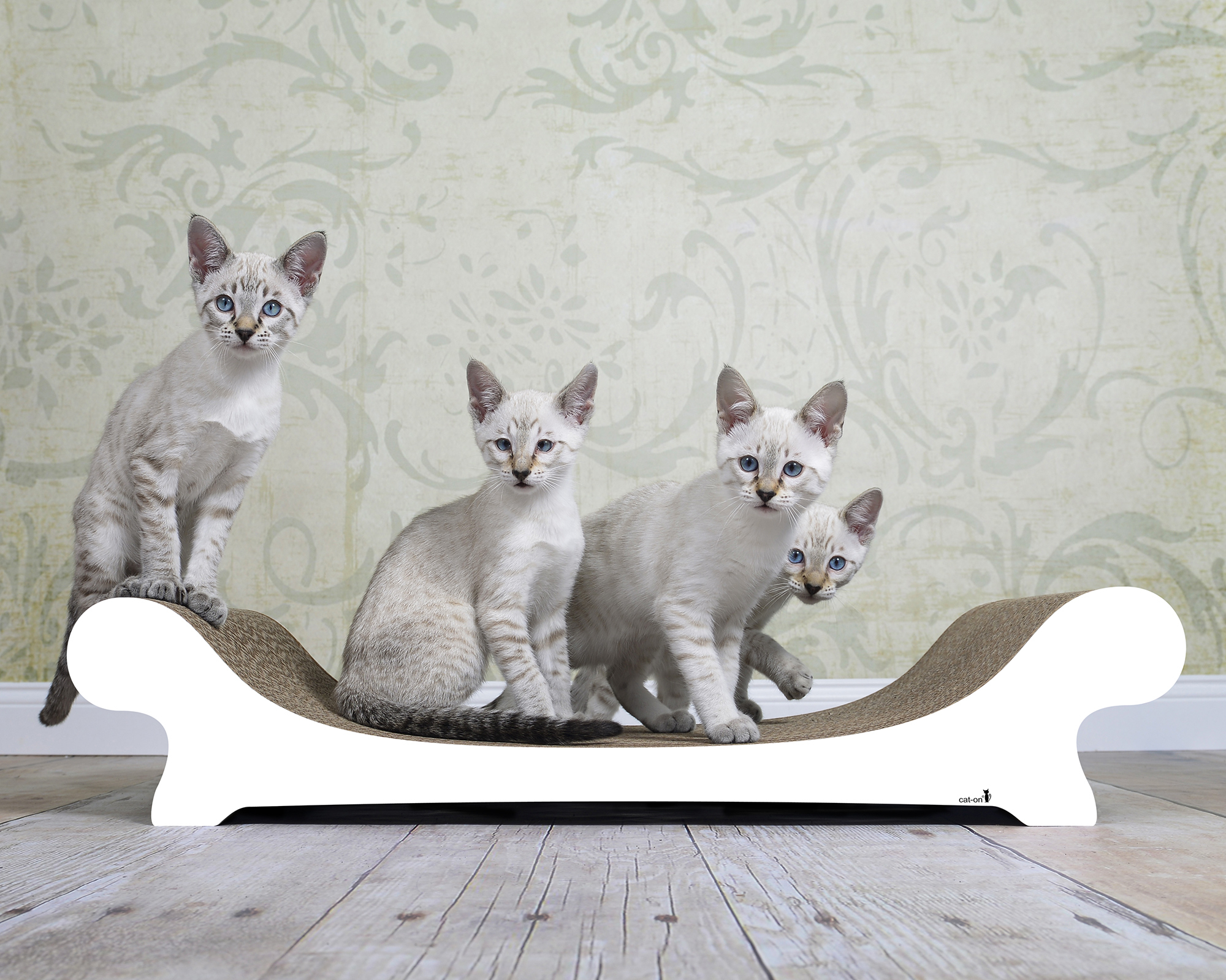 LE CANAPÉ Katzensofa  LE CANAPÉ PLUS Katzensofa von cat-on, mit Katze auf Katzenmoebel aus Wellpappe