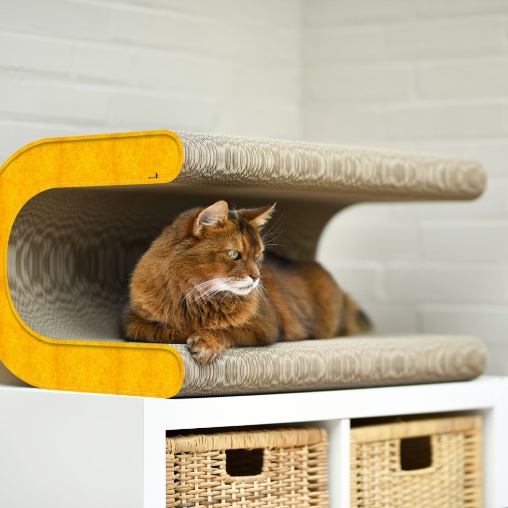 Katze entspannt auf dem Le Tonneau XL Design-Kratzmöbel