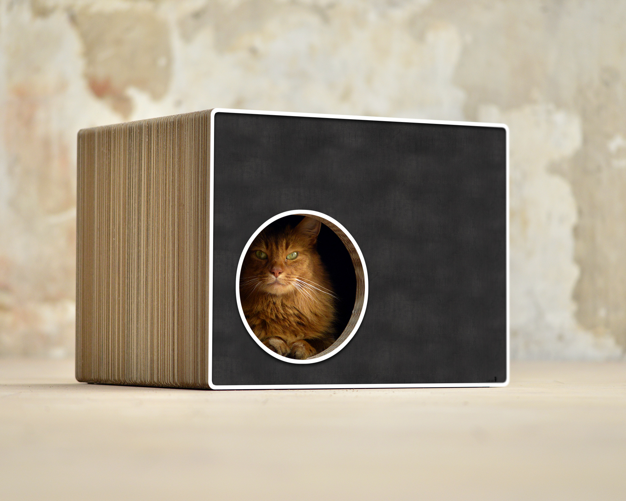 PHREDIA Eckhaus von cat-on, Katze im Inneren des Design-Kratzmöbels aus Wellpappe