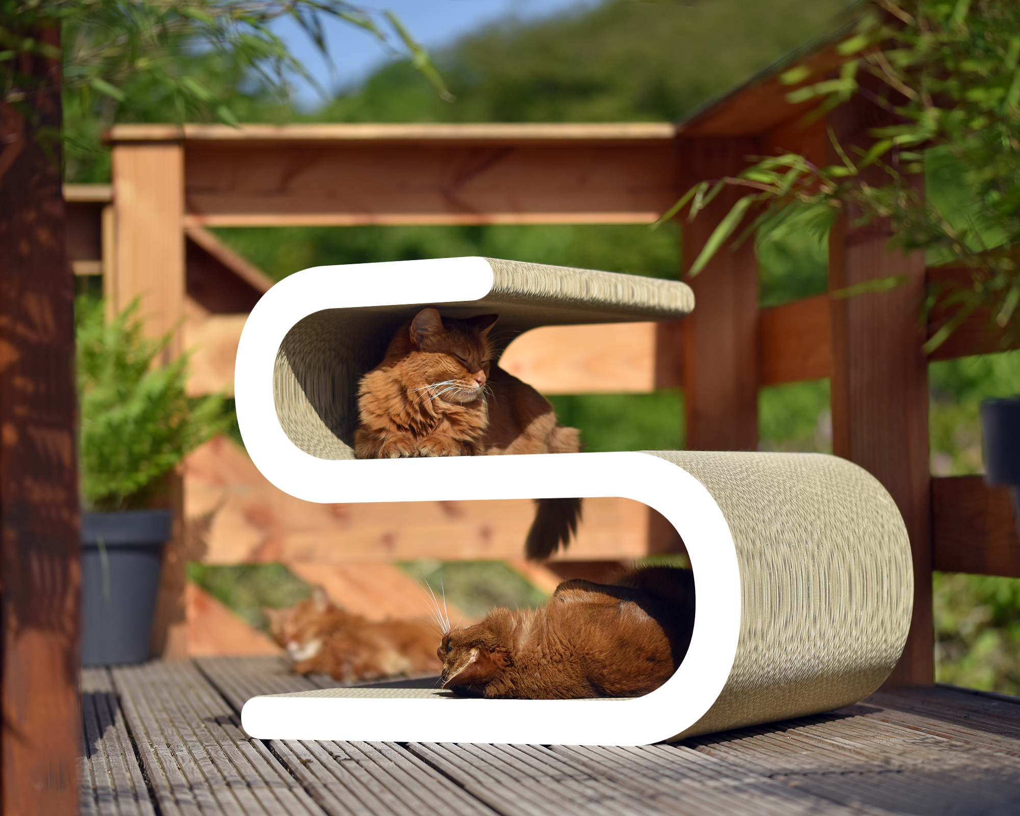 Ligne S XL – Stilvoller Katzen-Kratzbaum Weiß Stilvoller Design-Kratzbaum Ligne S XL in Weiß – elegantes Katzenmöbel für große Stubentiger