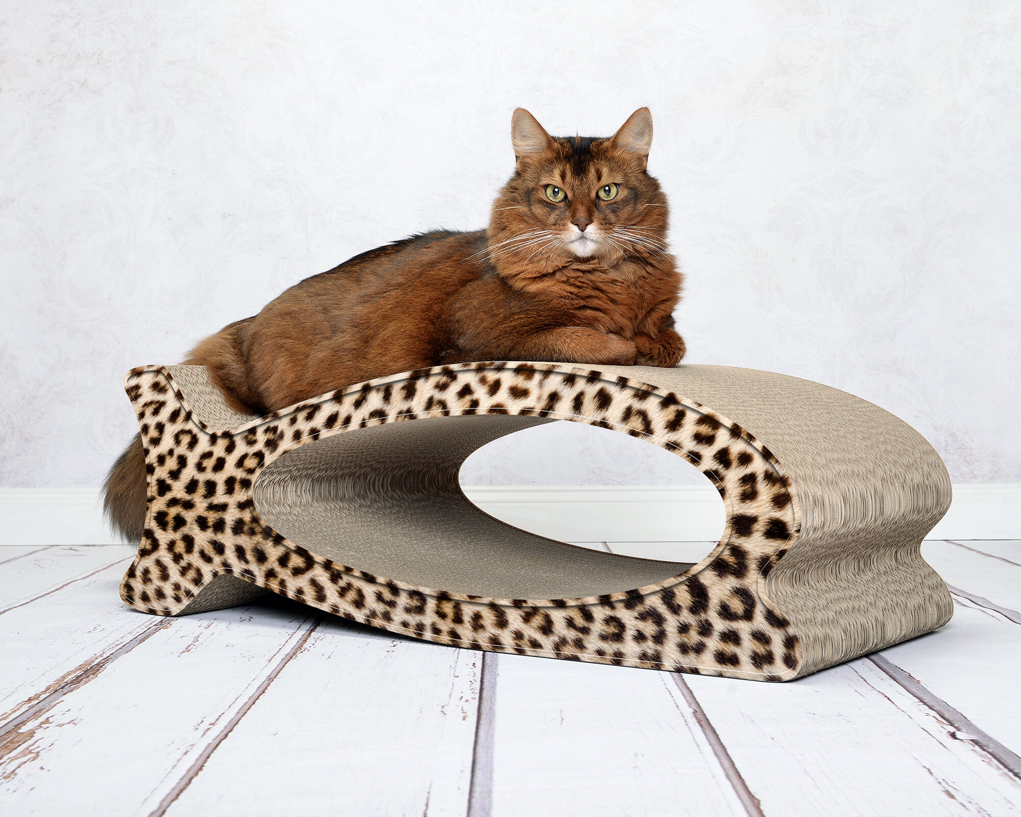 LE FISH – griffoir en carton en forme de poisson, design moderne et élégant