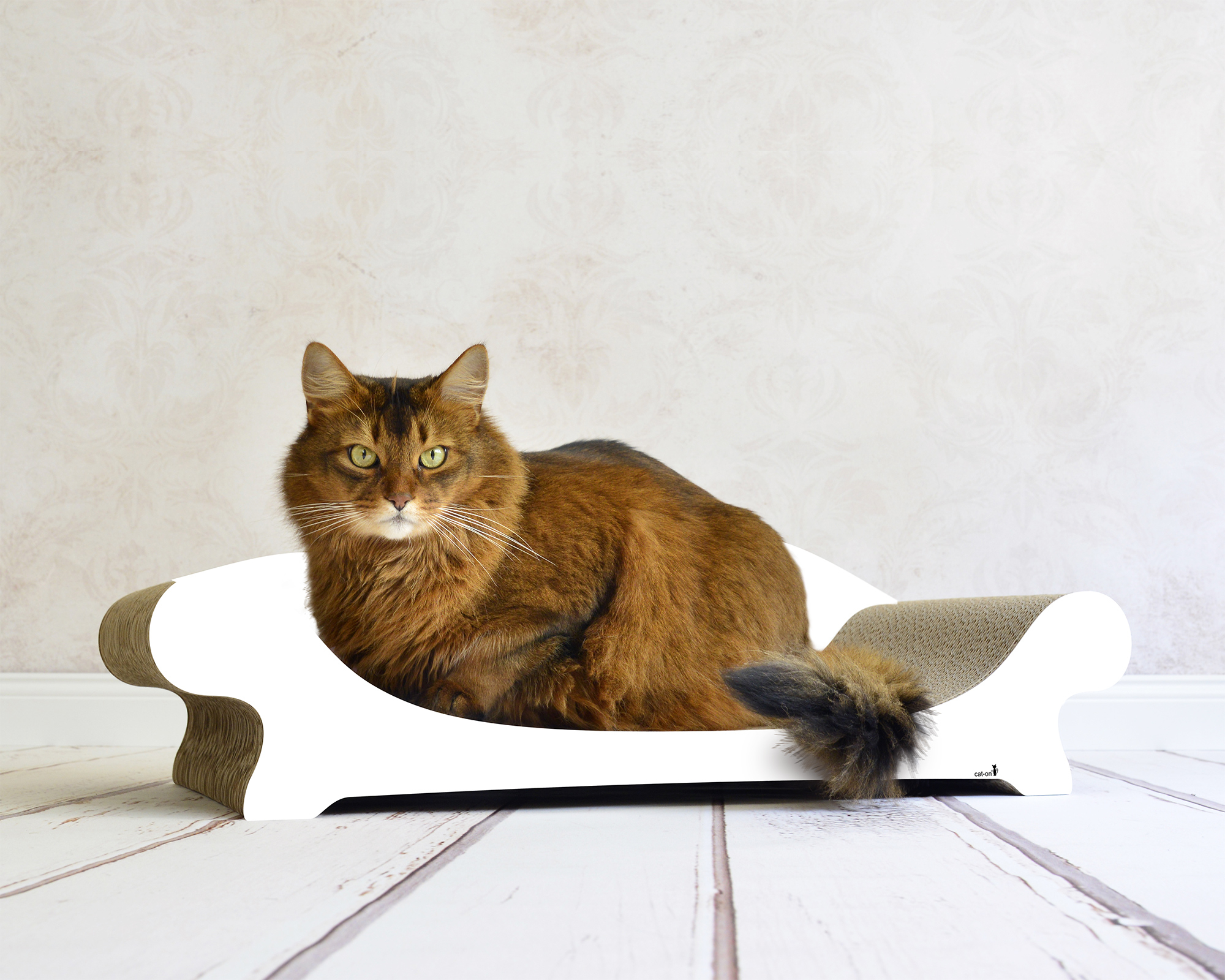 LE CANAPÉ PLUS – Design-Katzensofa aus Wellpappe, handmade in Berlin LE CANAPÉ PLUS cat sofa by cat-on, with cat resting on top