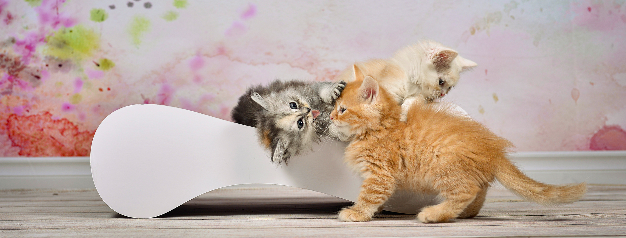 LE VER S Kratzwelle für Katzen, grau (001) LE VER S Kratzwelle für Katzen, grau (001)