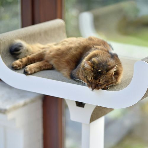 Modern cat tree furniture