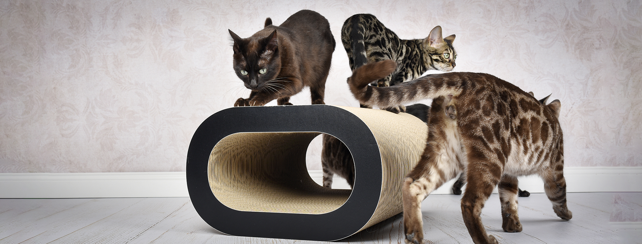 LE TRONC Kratzmöbel für Katzen, schwarz matt (013x)