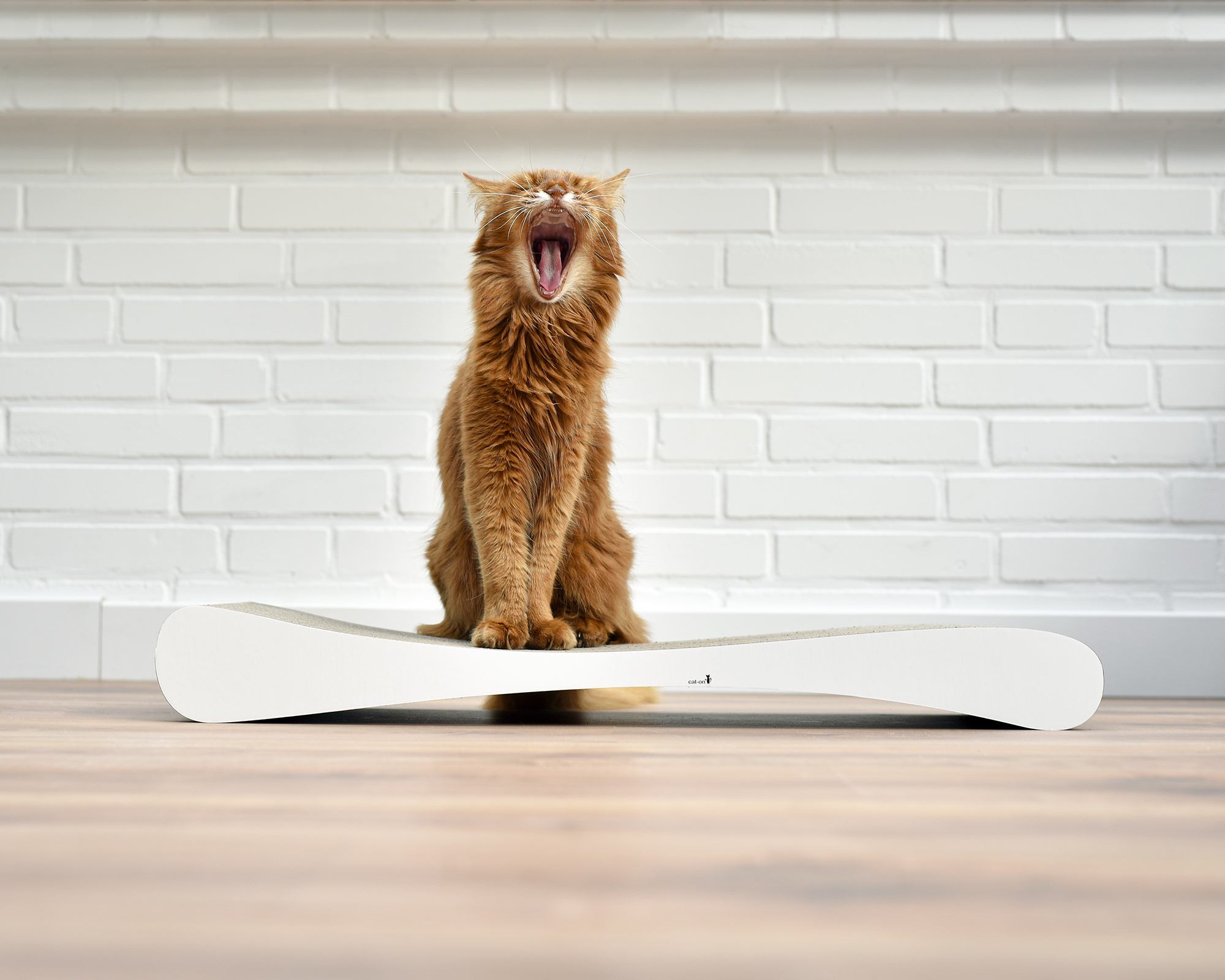 GRATTOIR SLIM LINE – griffoir moderne en carton pour chats de cat-on Planche à griffer design GRATTOIR SLIM LINE en carton ondulé robuste de cat-on